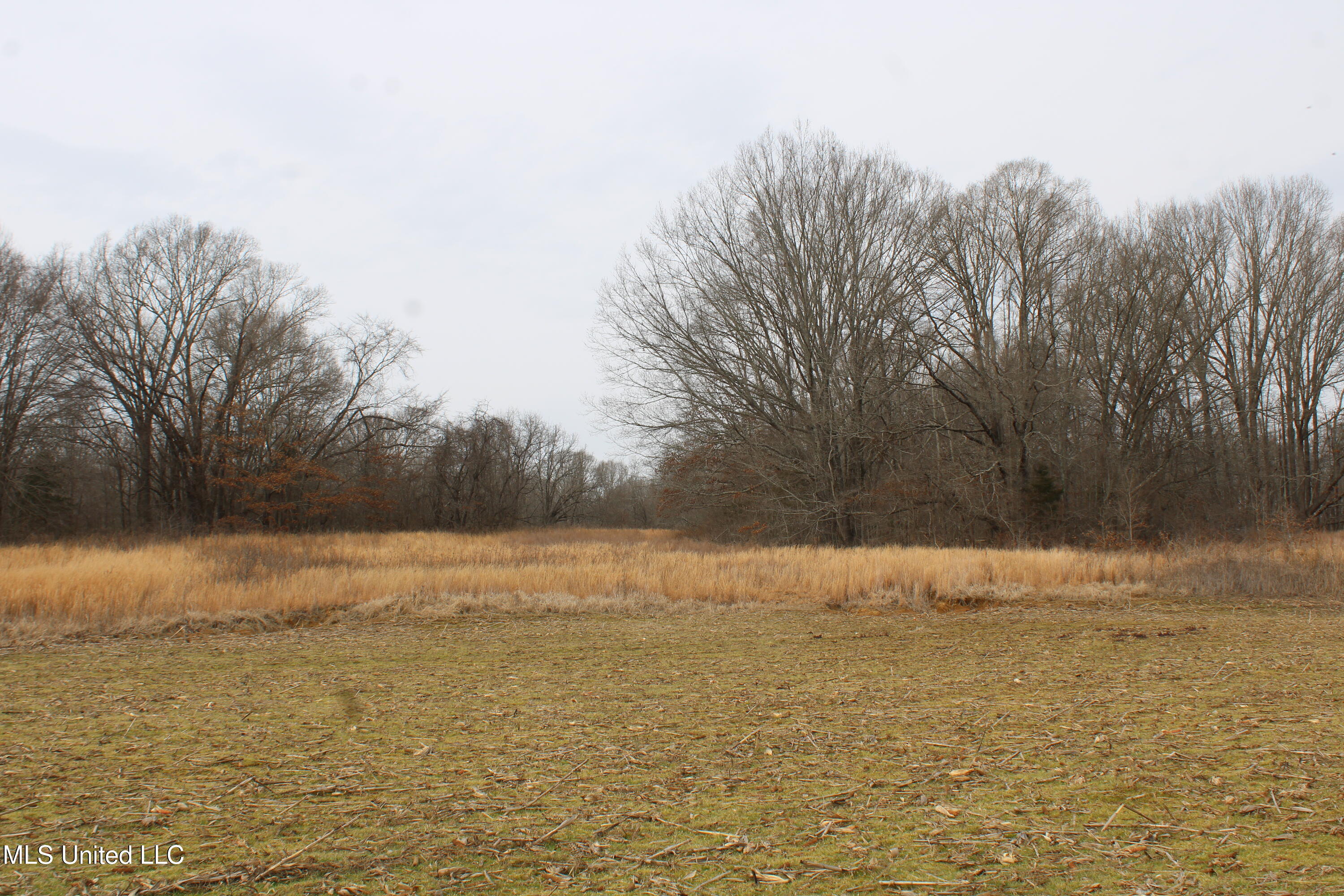 6000 Austin Road Property Photo 10