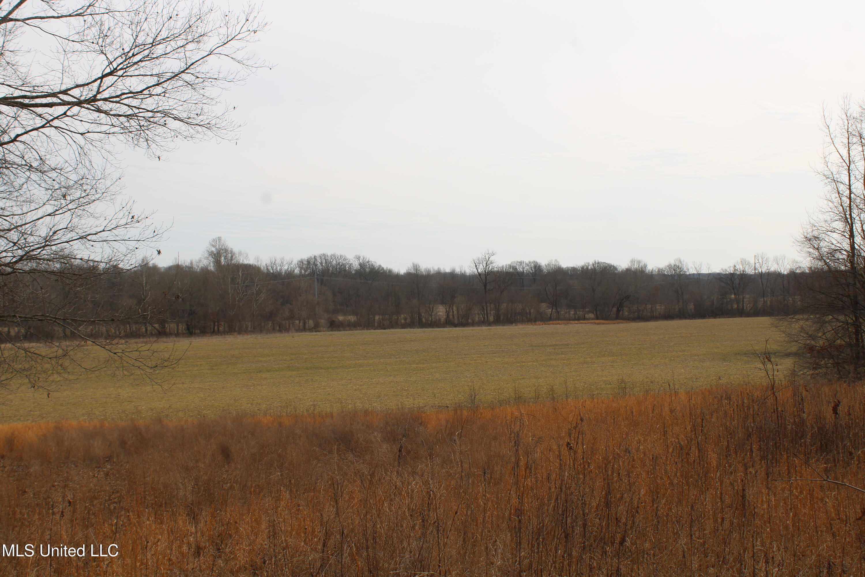 6000 Austin Road Property Photo 11