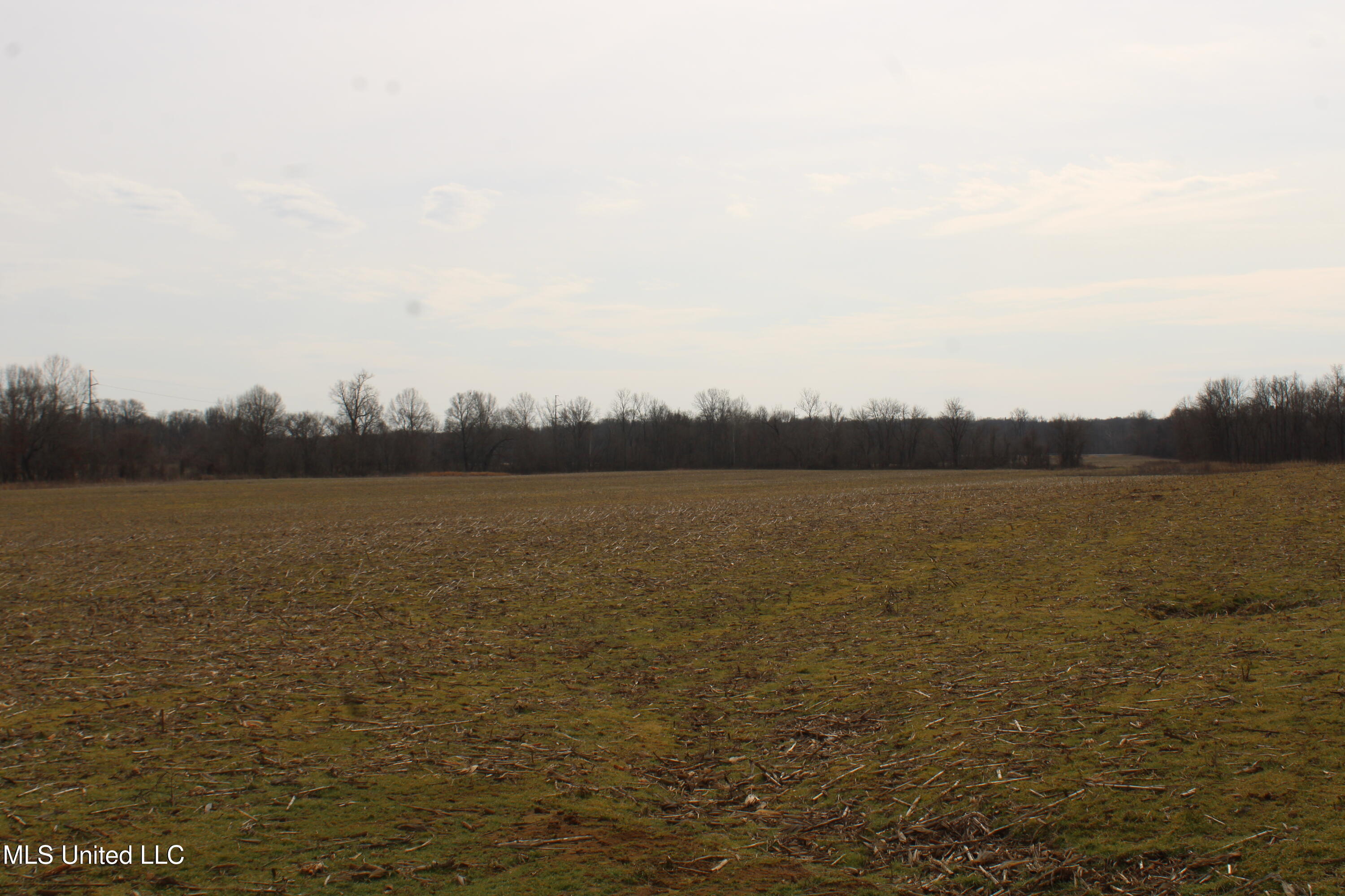 6000 Austin Road Property Photo 12