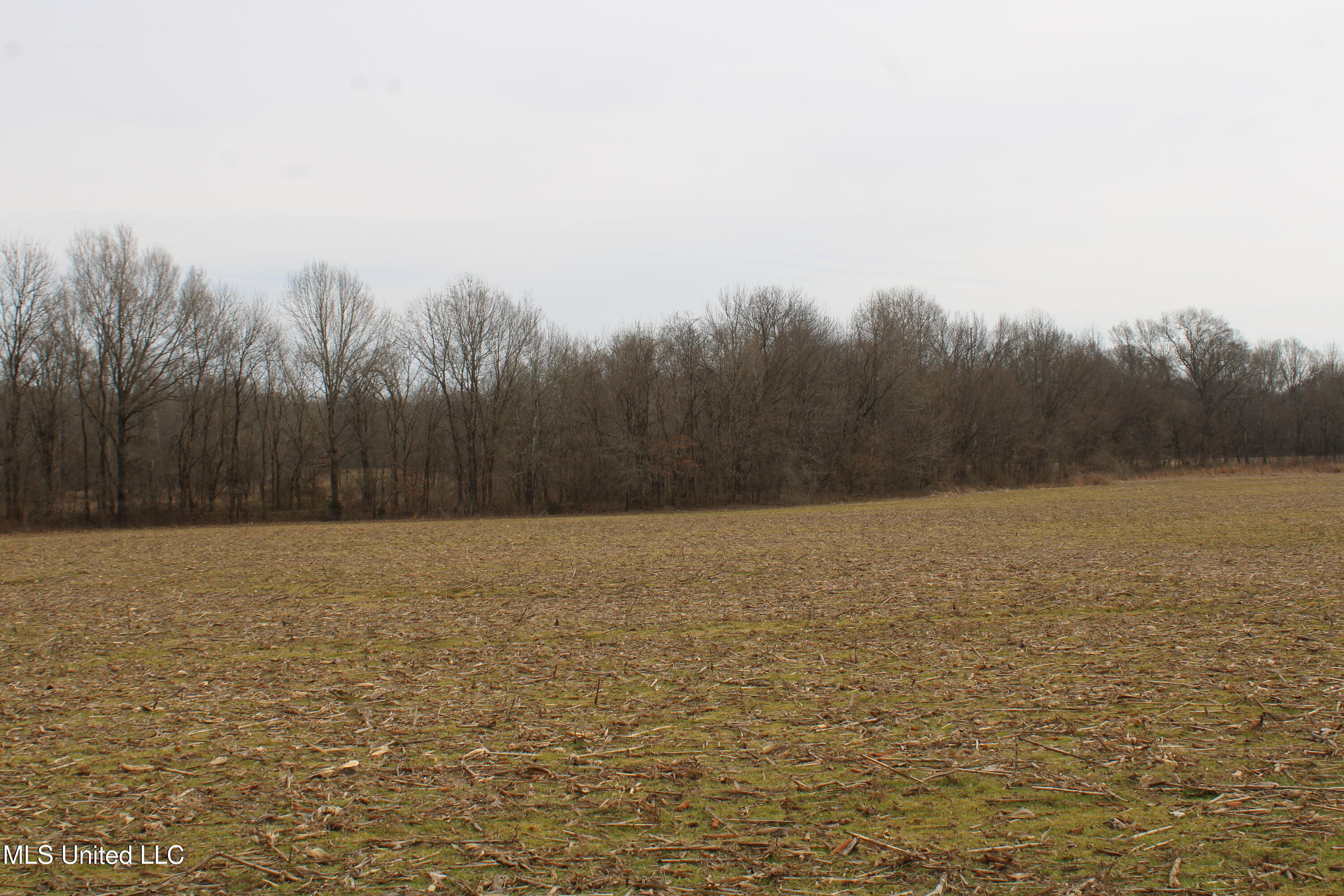 6000 Austin Road Property Photo 13