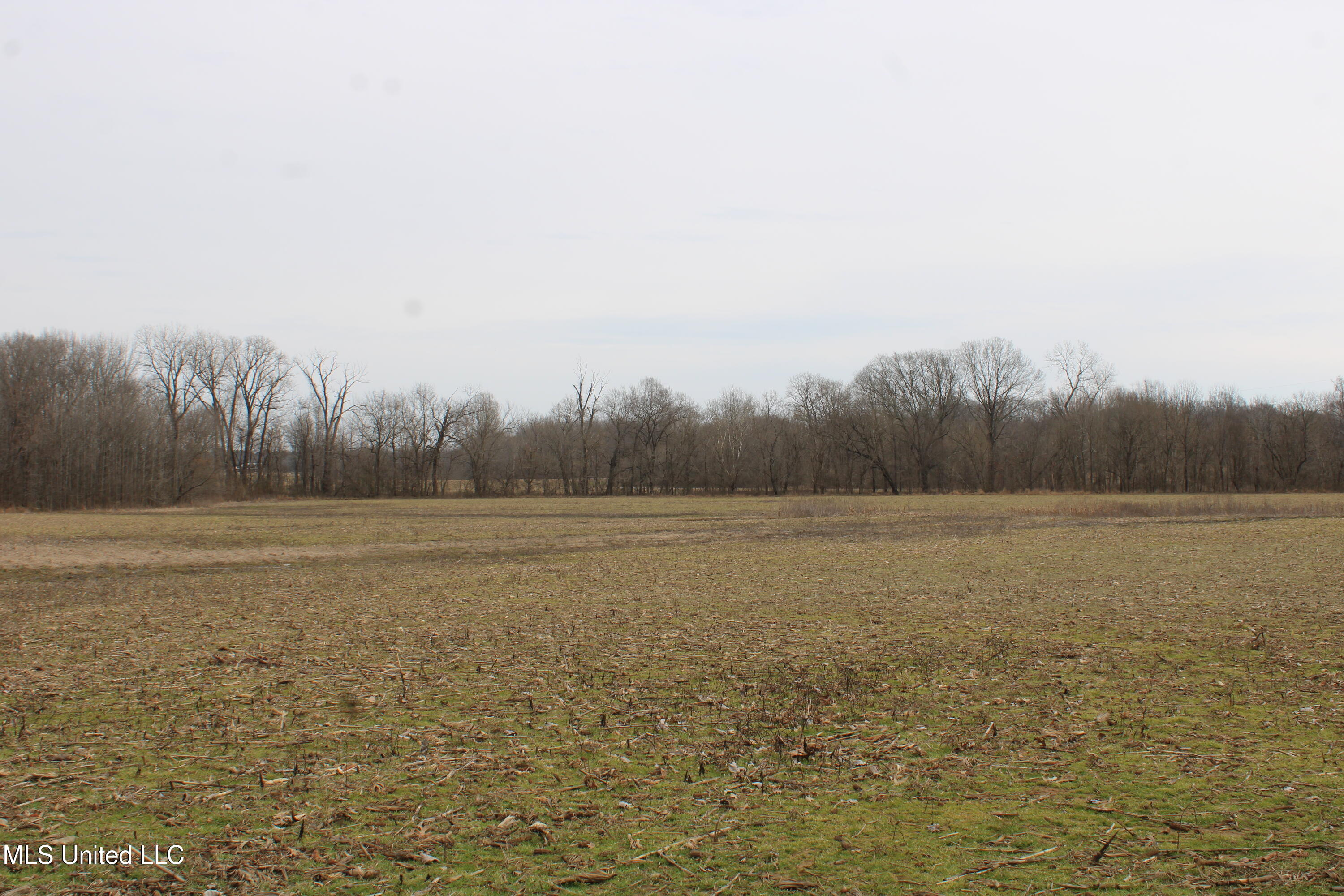 6000 Austin Road Property Photo 14