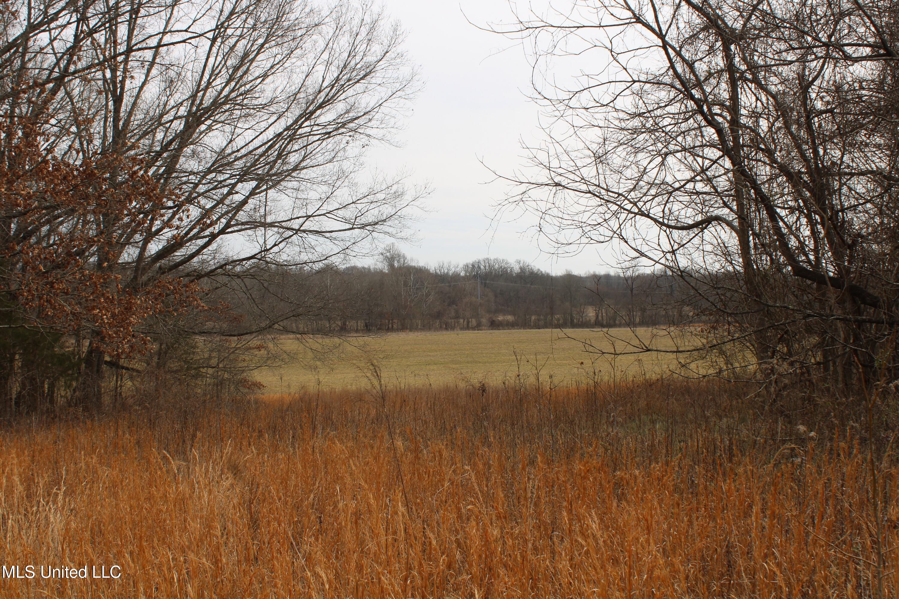 6000 Austin Road Property Photo 17