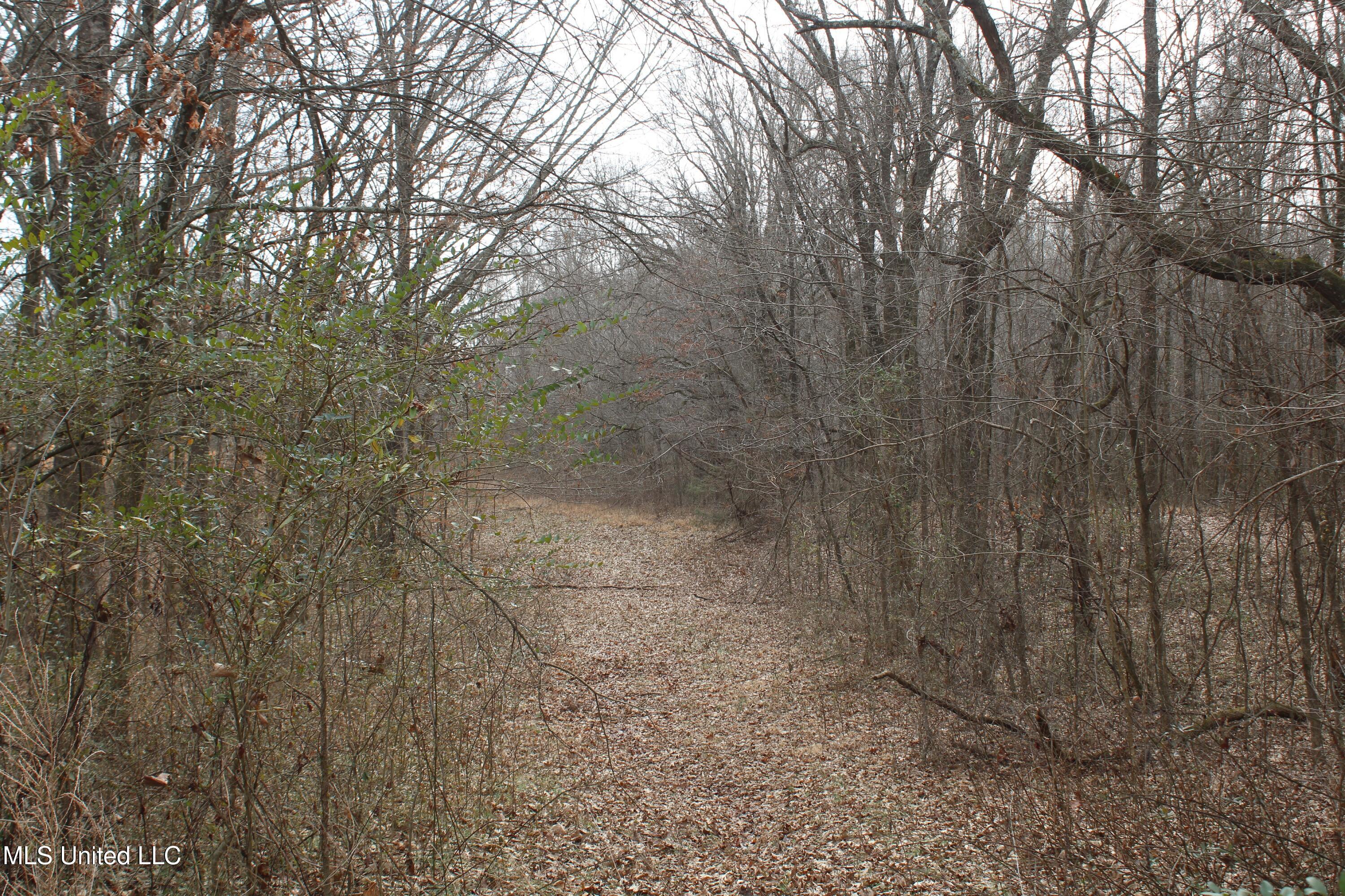 6000 Austin Road Property Photo 19