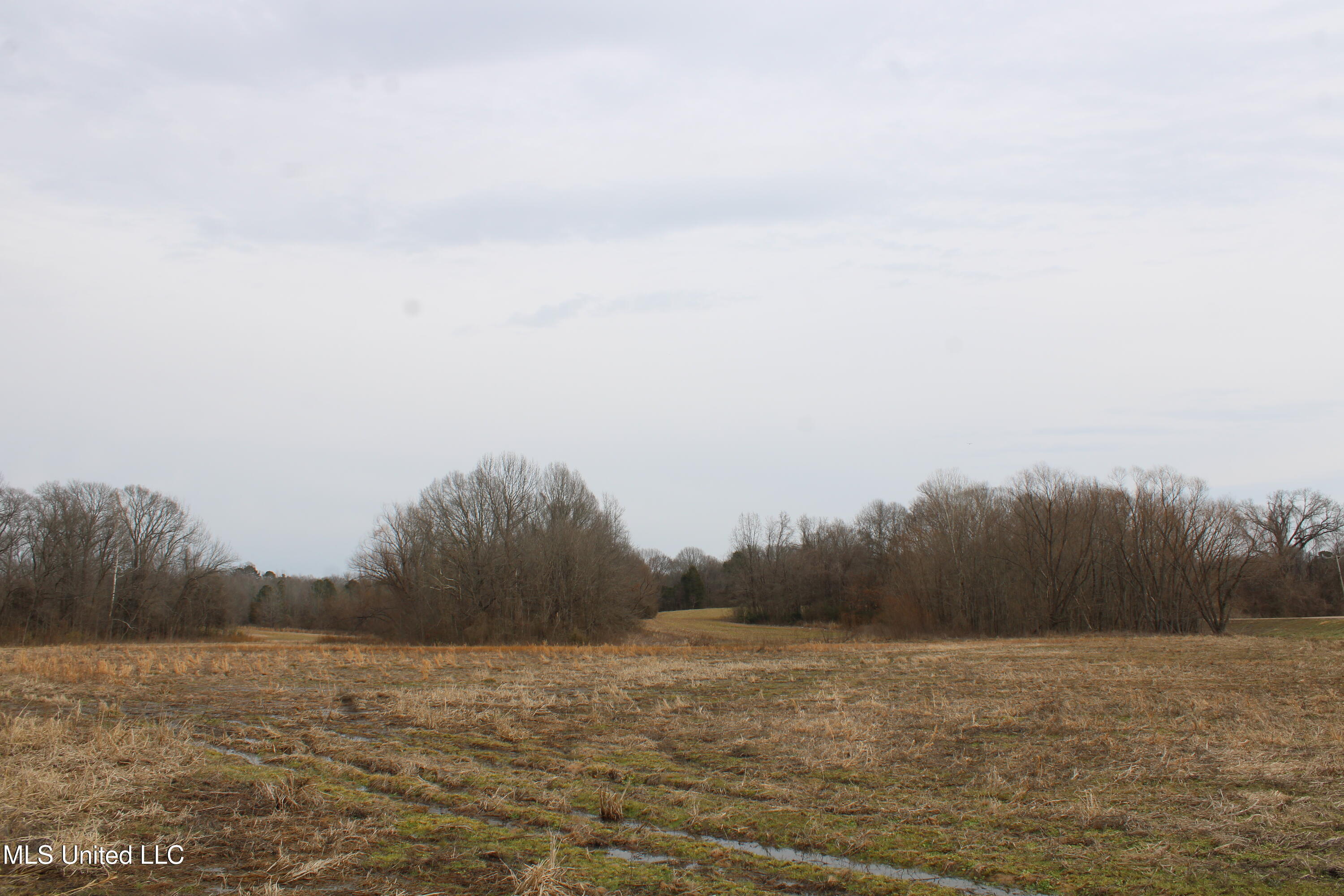 4325 Highway 301 Property Photo 2