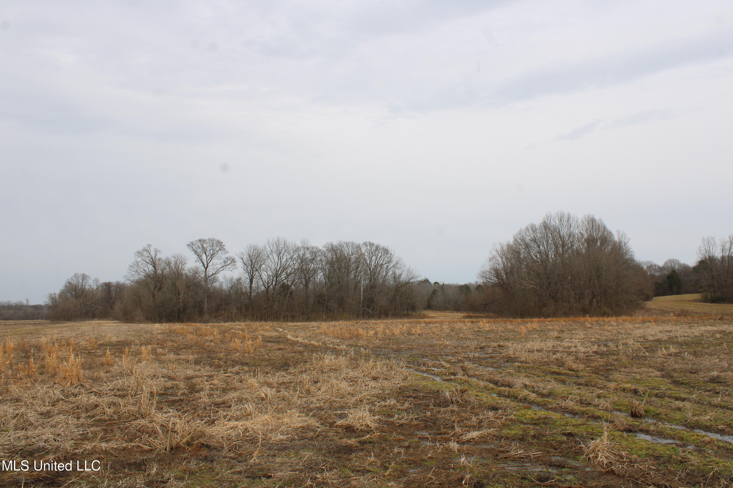 4325 Highway 301 Property Photo 3