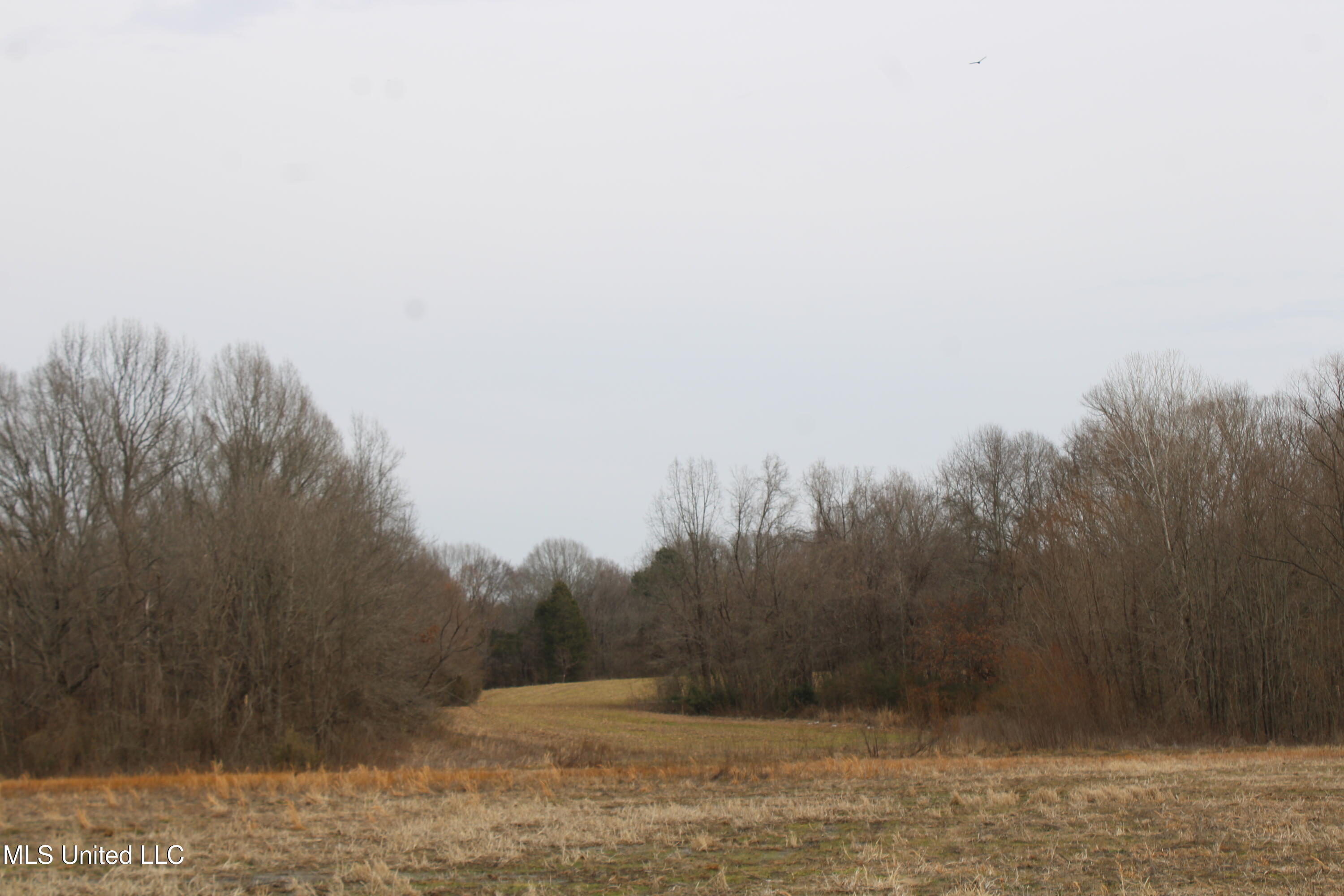 4325 Highway 301 Property Photo 4