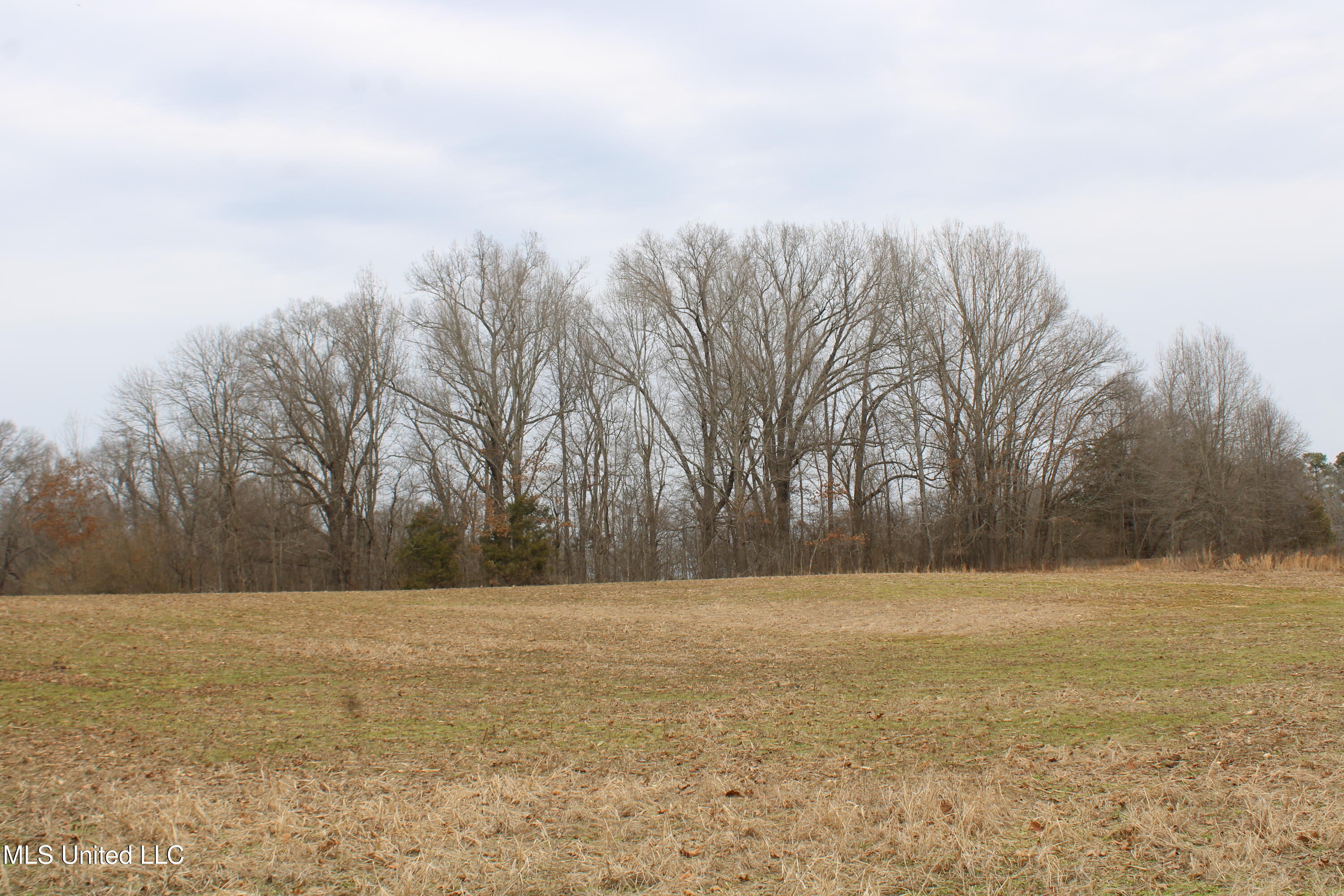4325 Highway 301 Property Photo 5