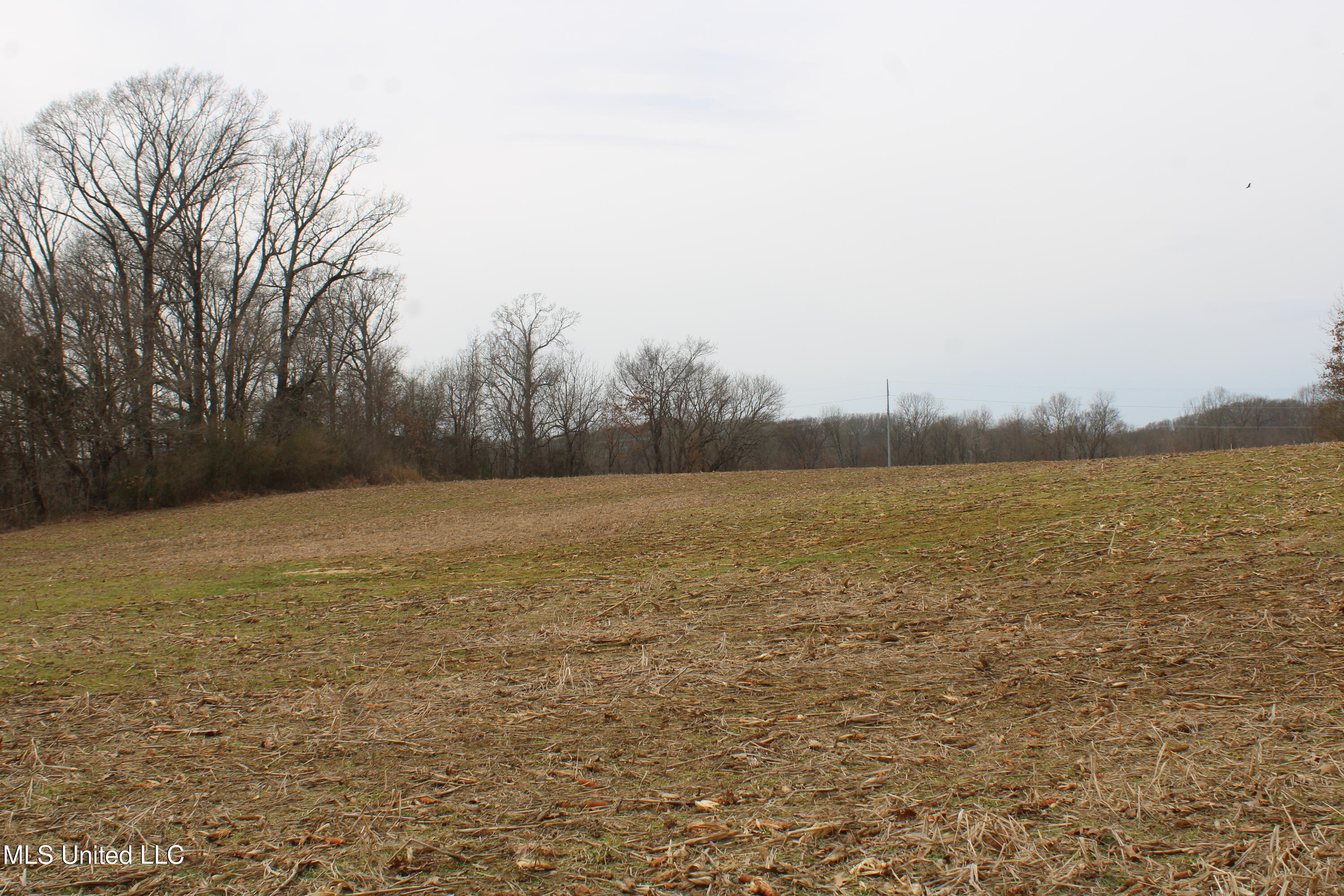 4325 Highway 301 Property Photo 6