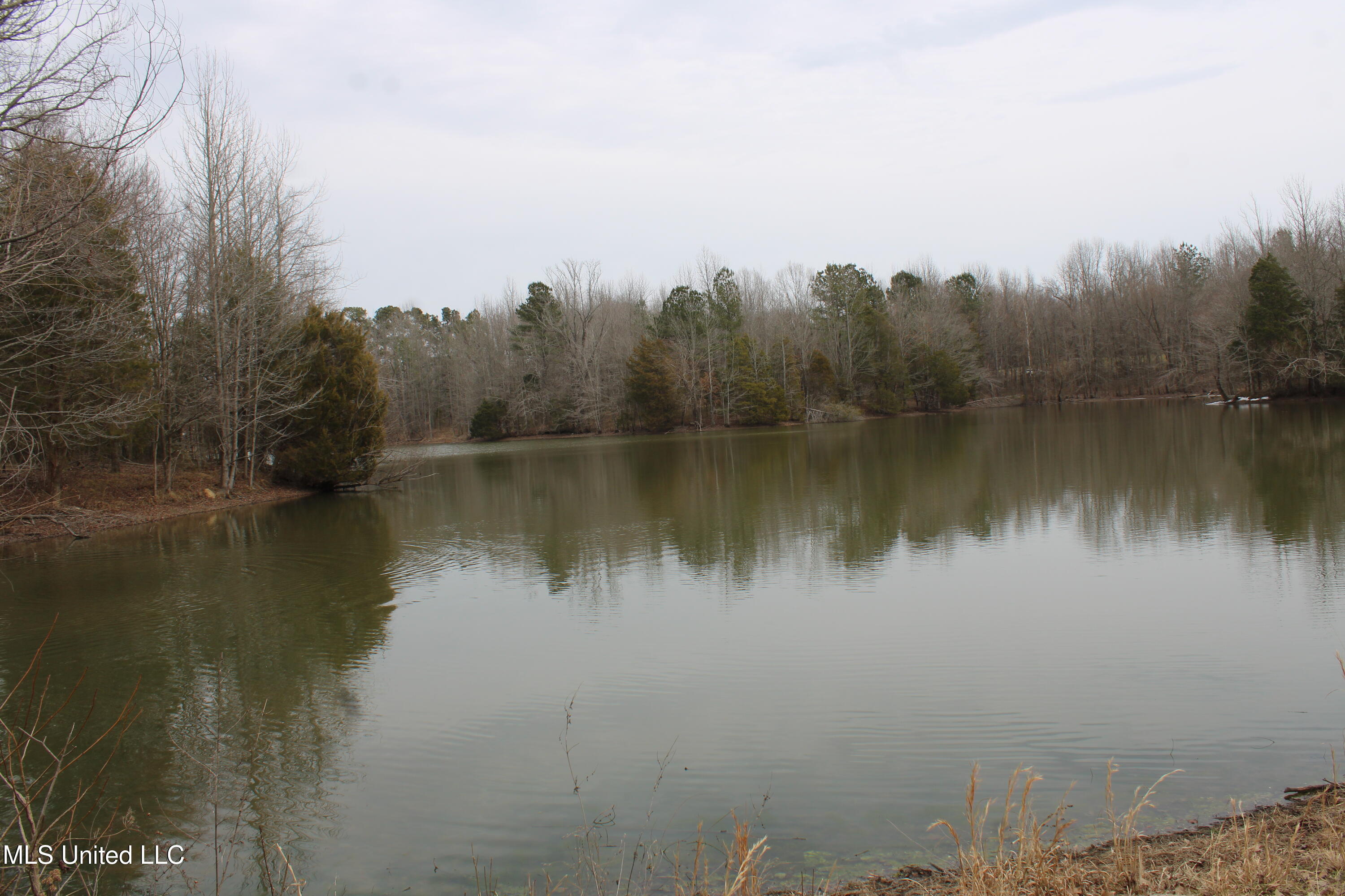 4325 Highway 301 Property Photo 7