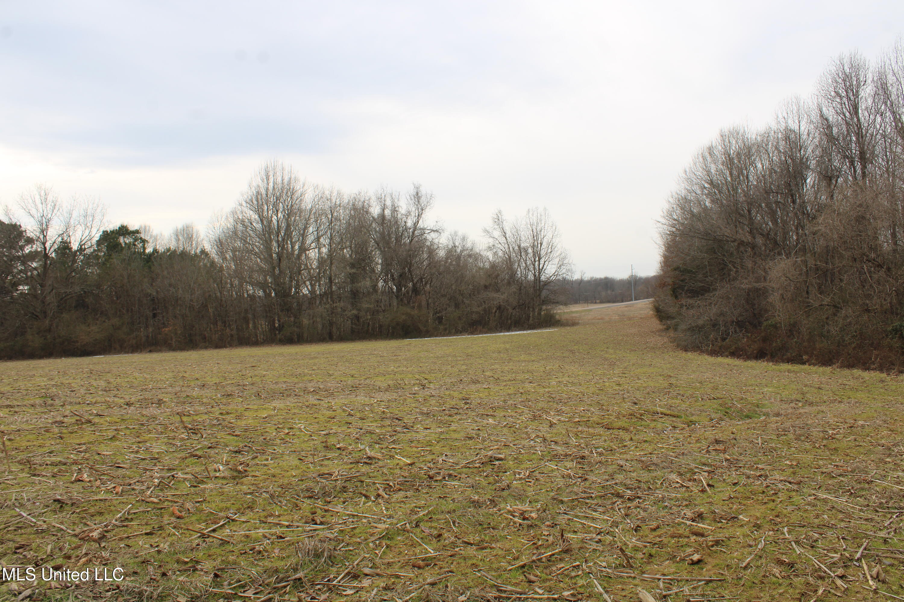 4325 Highway 301 Property Photo 8