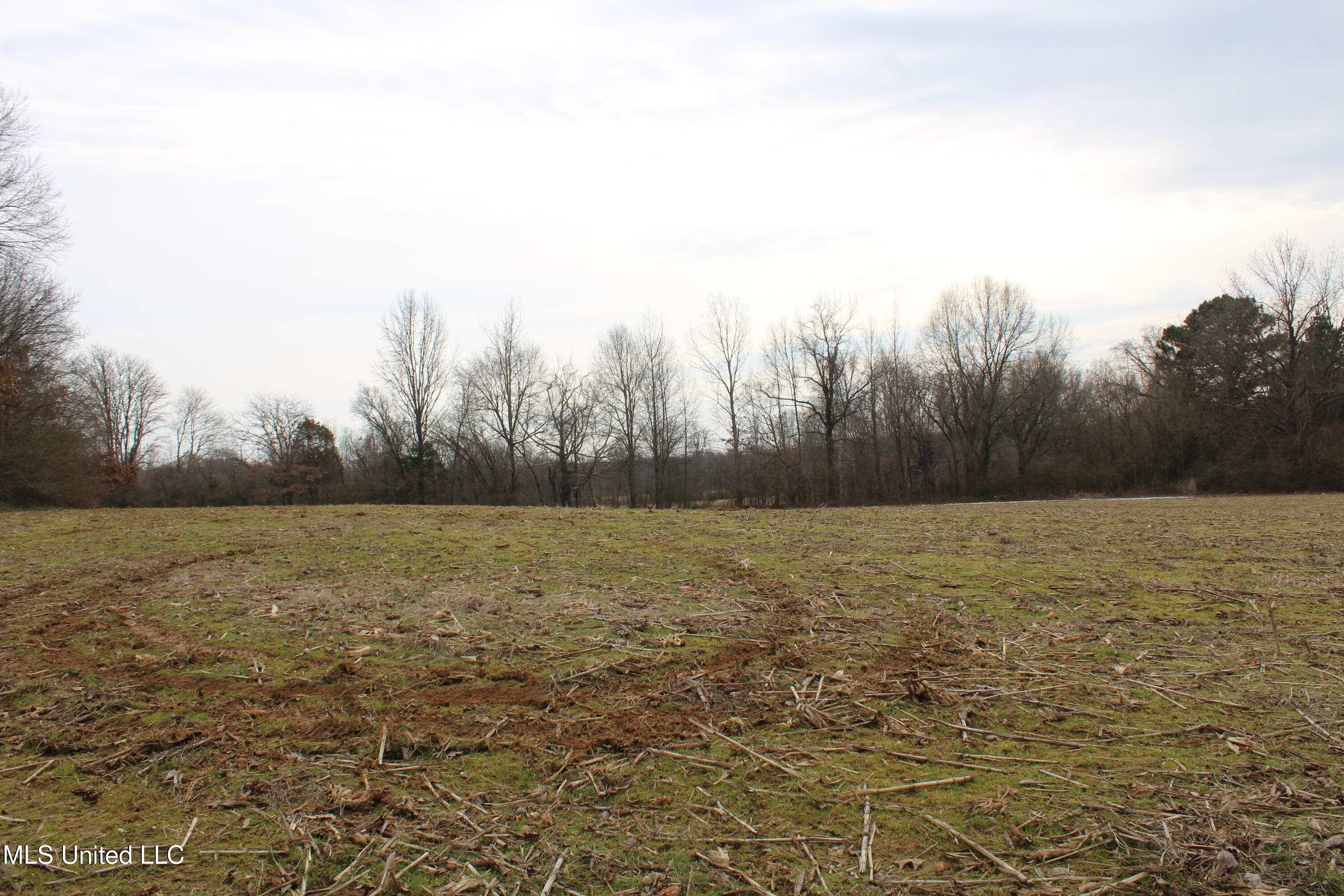 4325 Highway 301 Property Photo 9