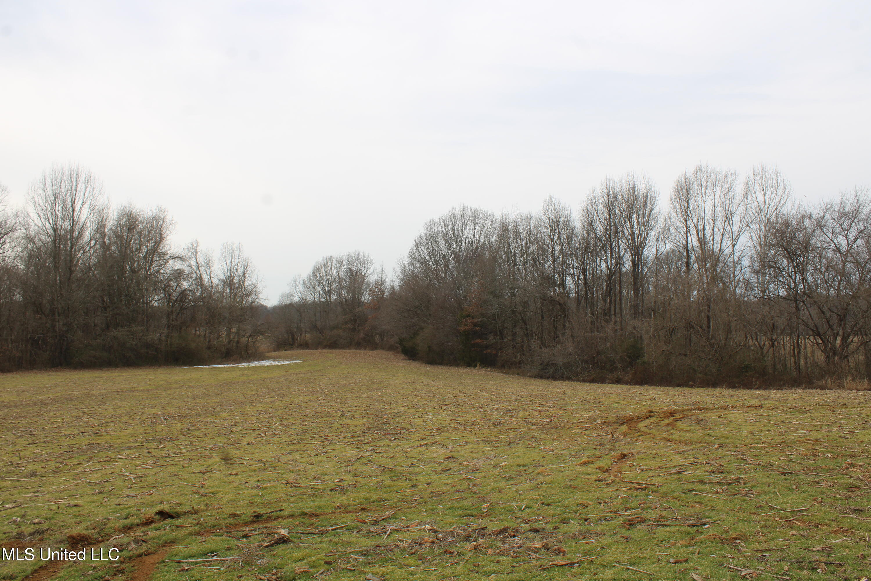 4325 Highway 301 Property Photo 11