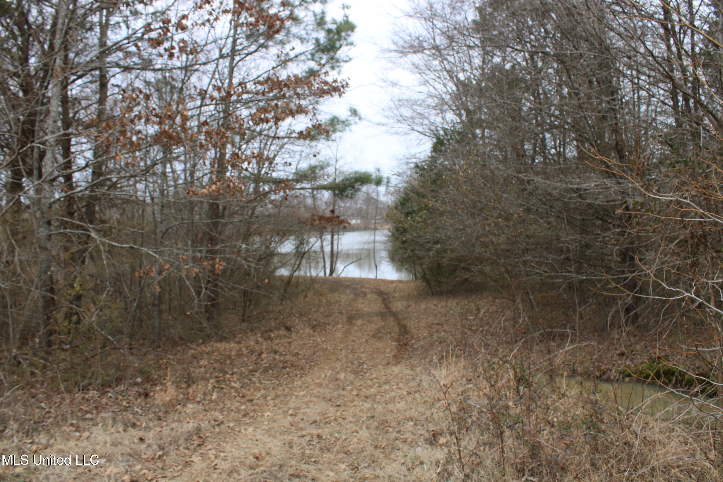 4325 Highway 301 Property Photo 12
