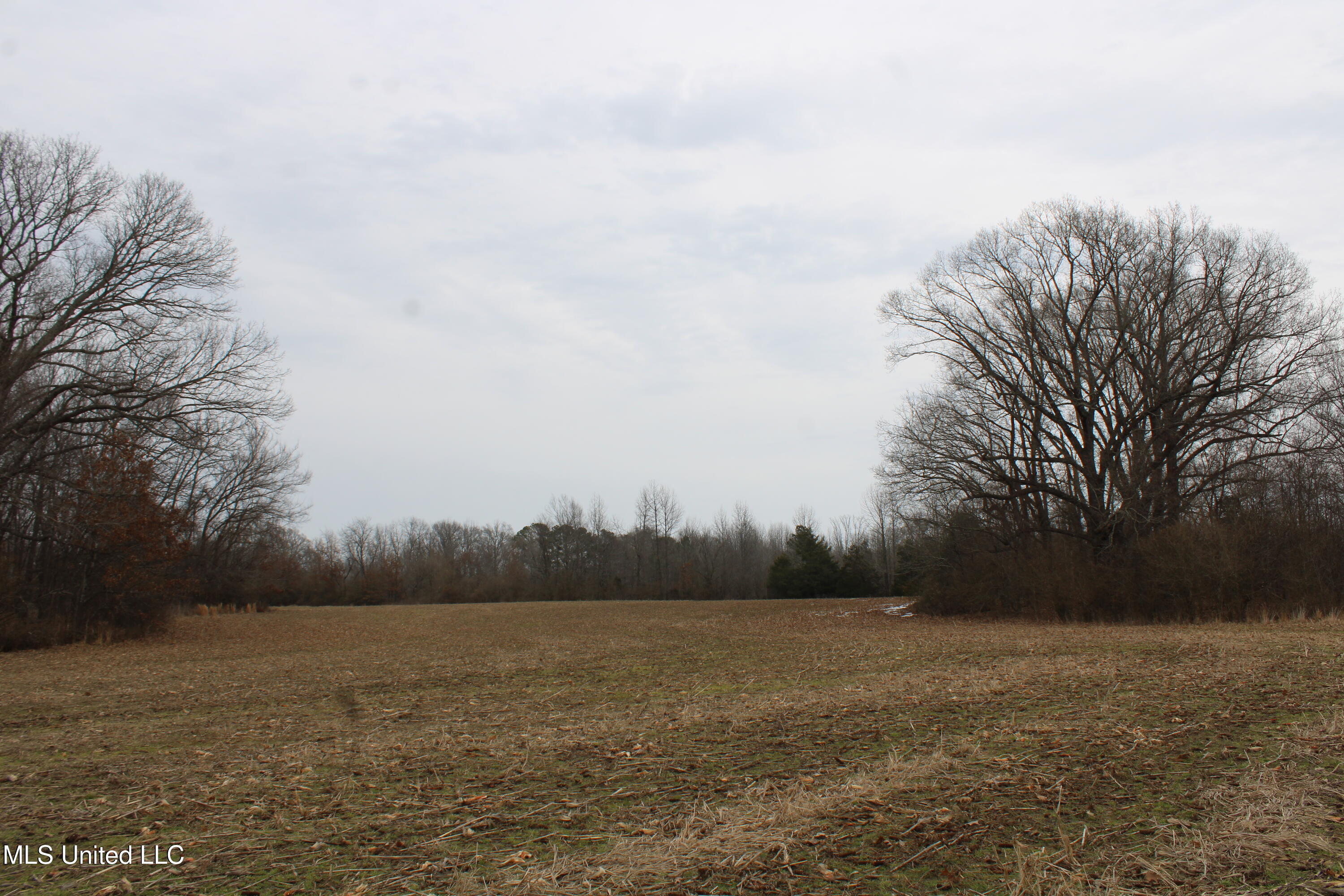 4325 Highway 301 Property Photo 13