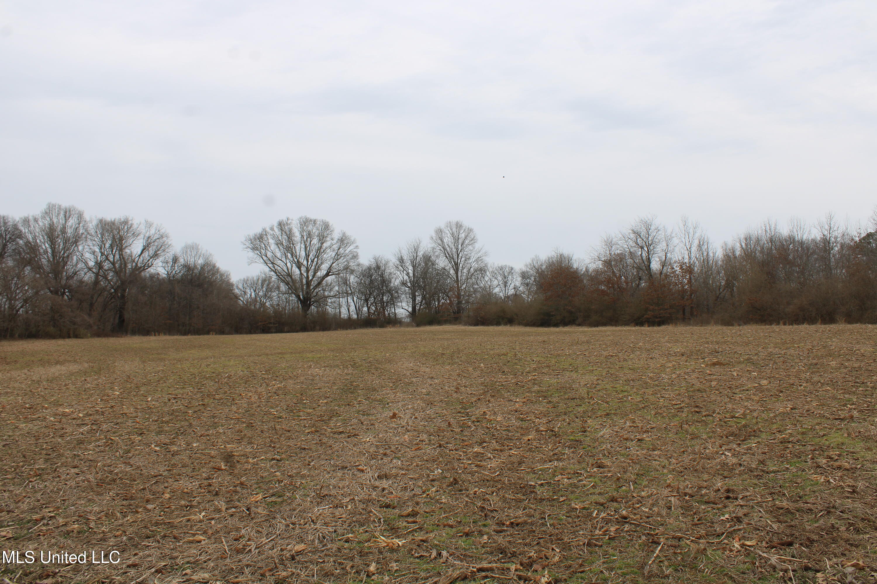 4325 Highway 301 Property Photo 14