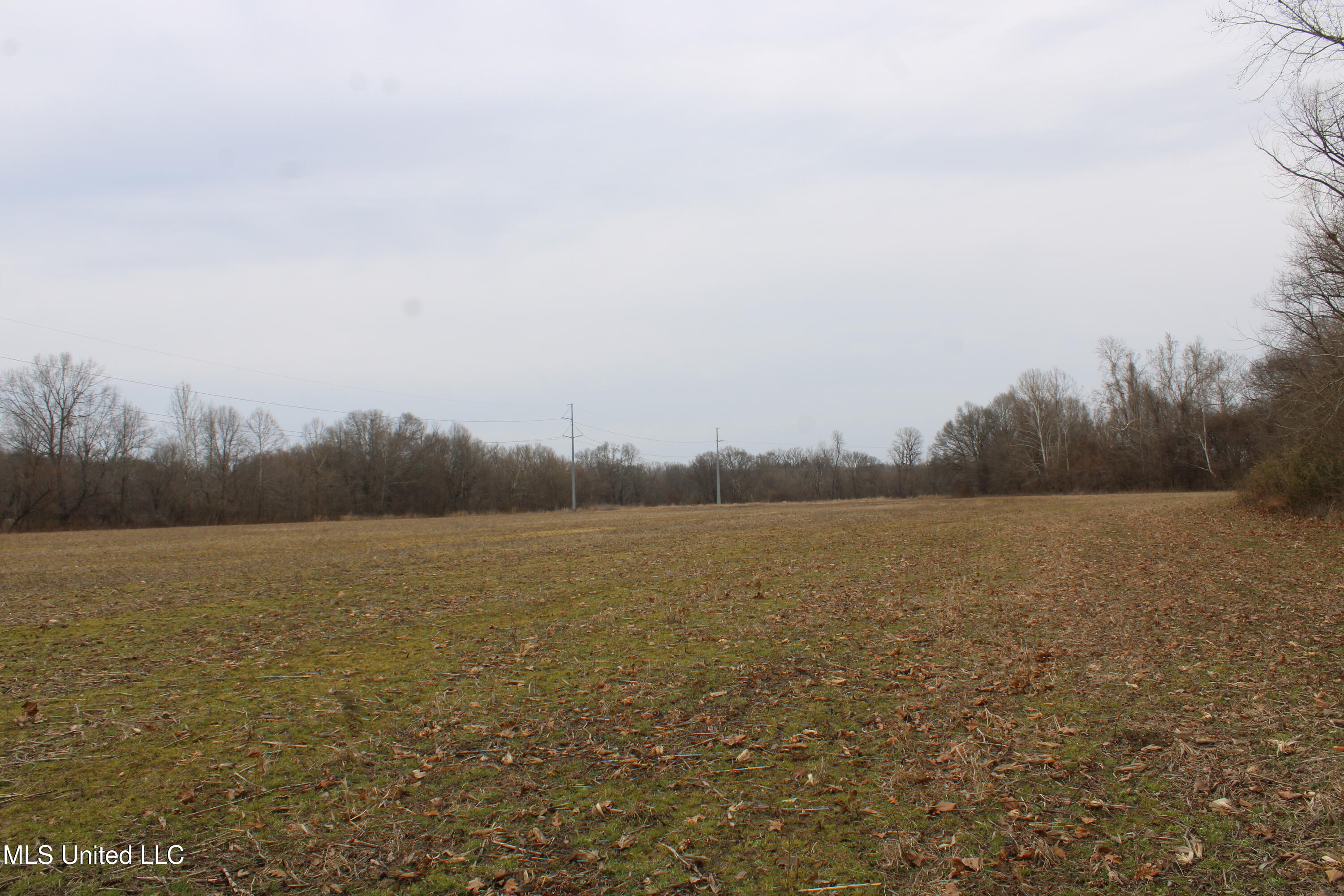 4325 Highway 301 Property Photo 15