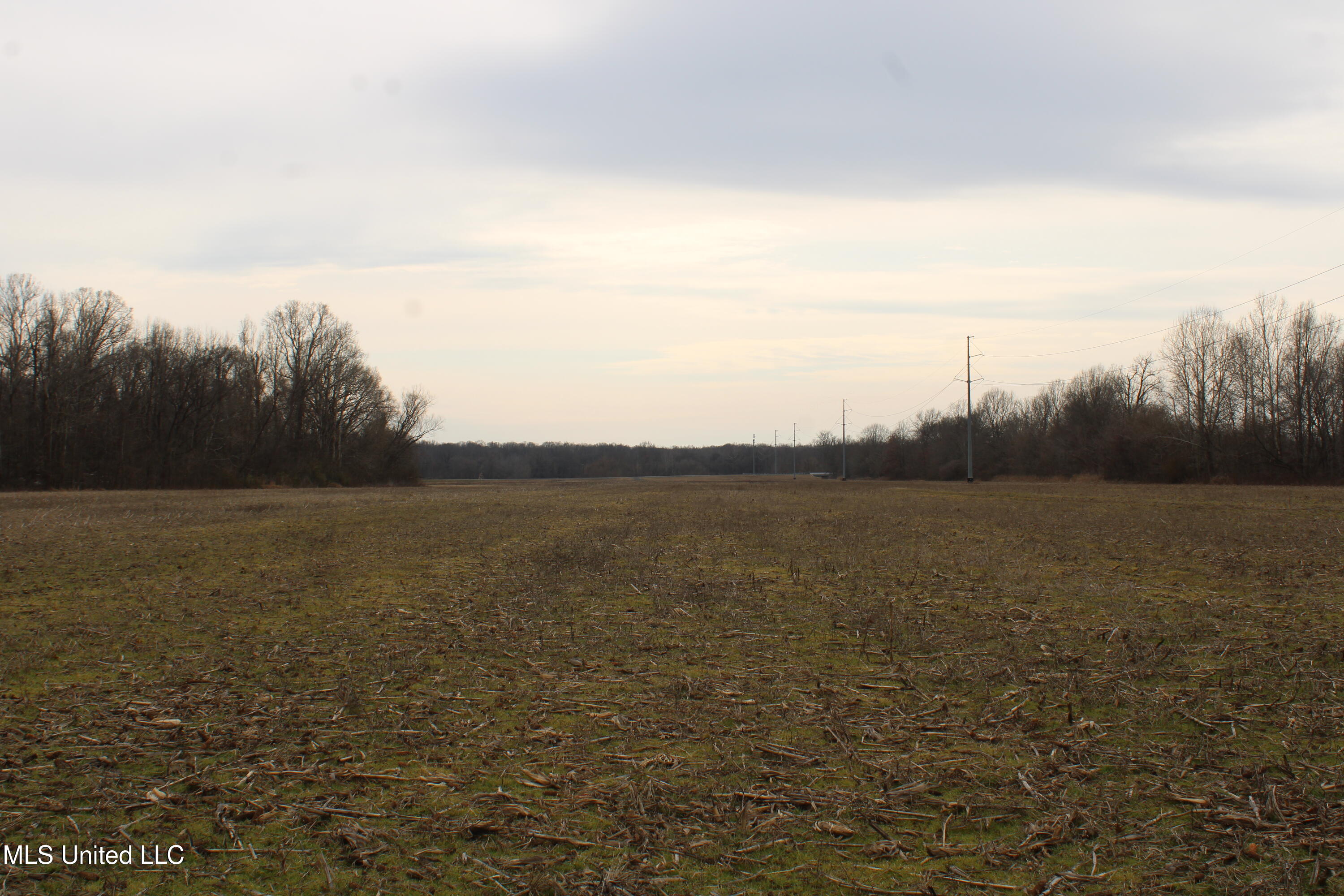 4325 Highway 301 Property Photo 16