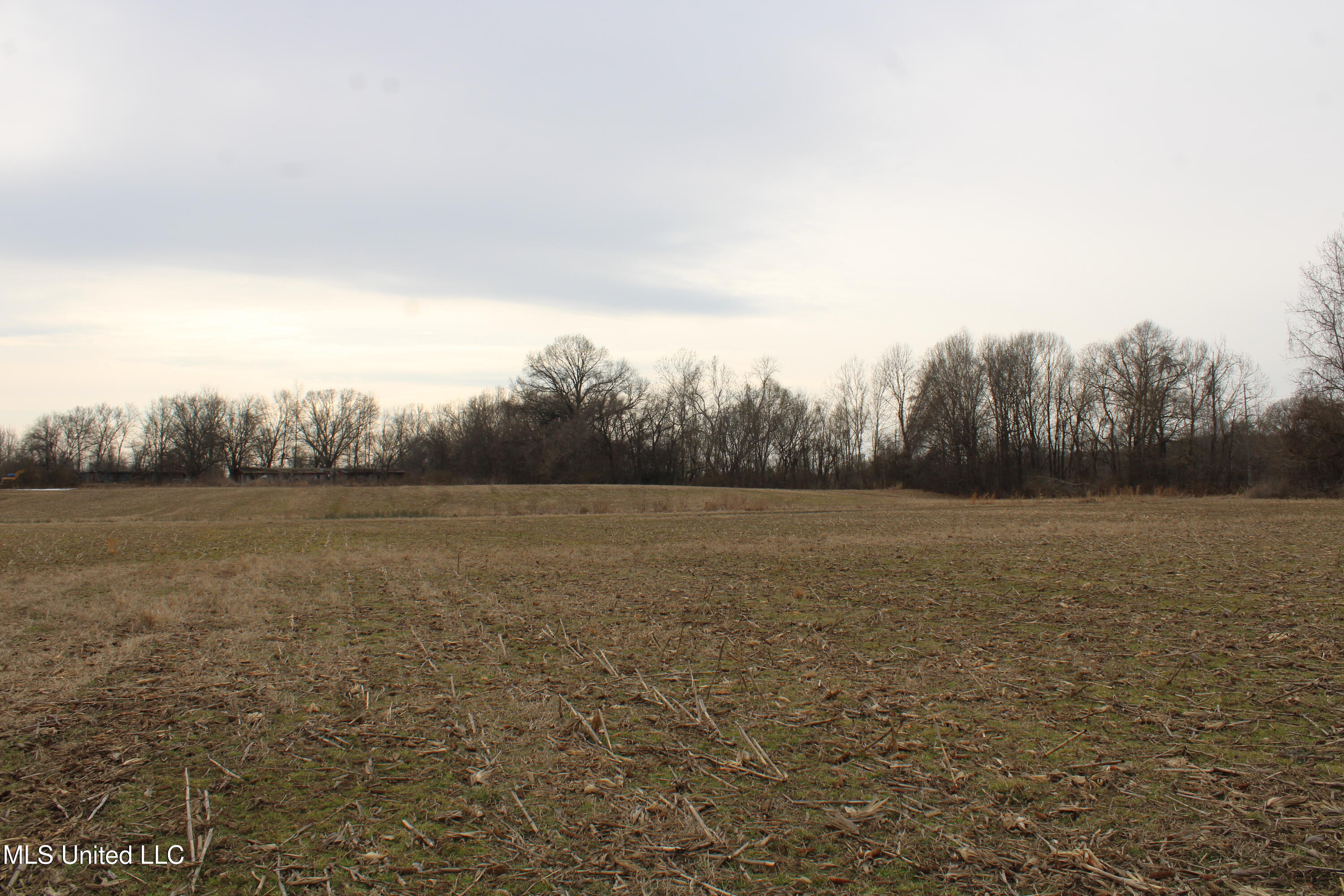 4325 Highway 301 Property Photo 18