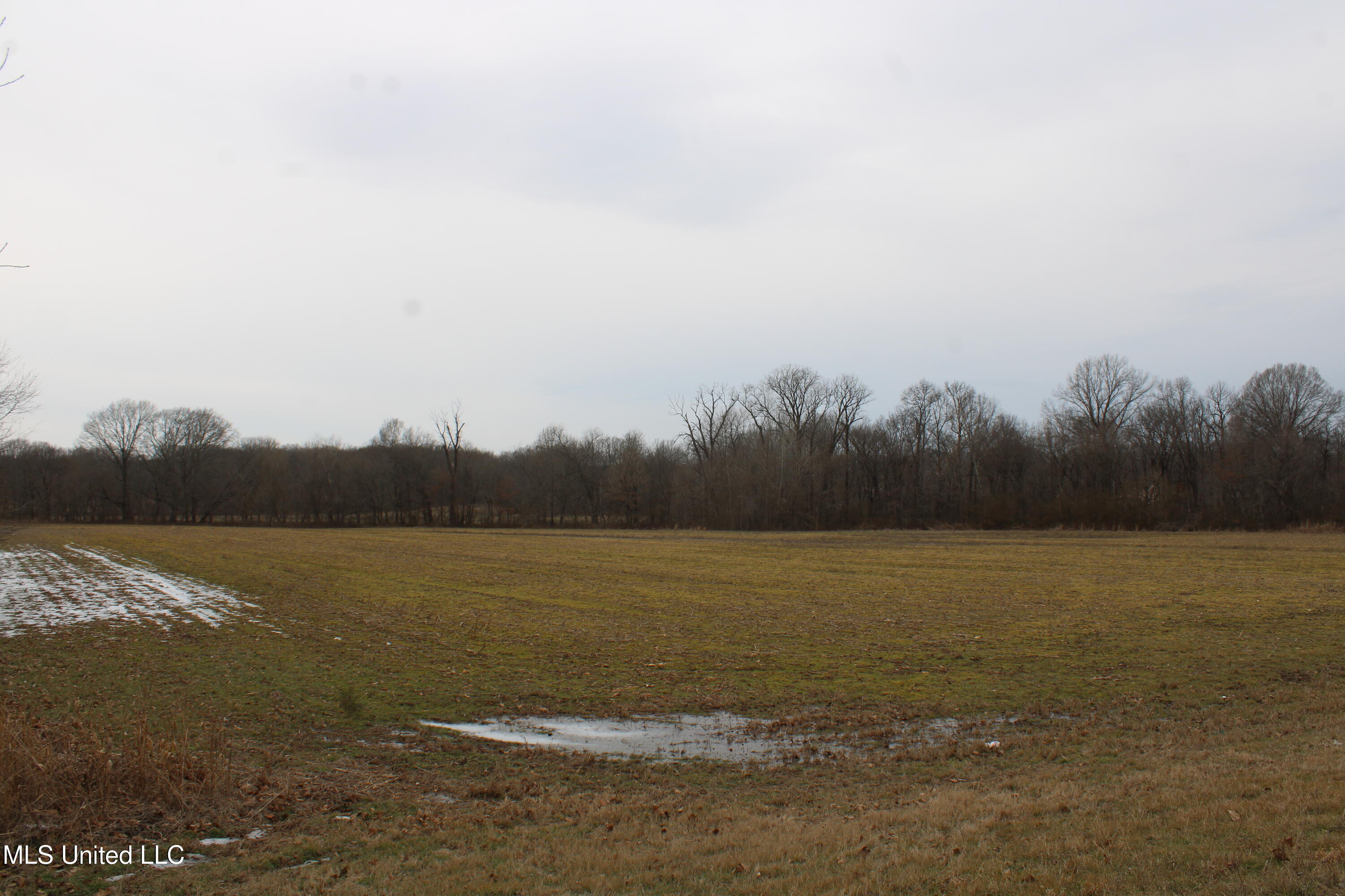 4325 Highway 301 Property Photo 19