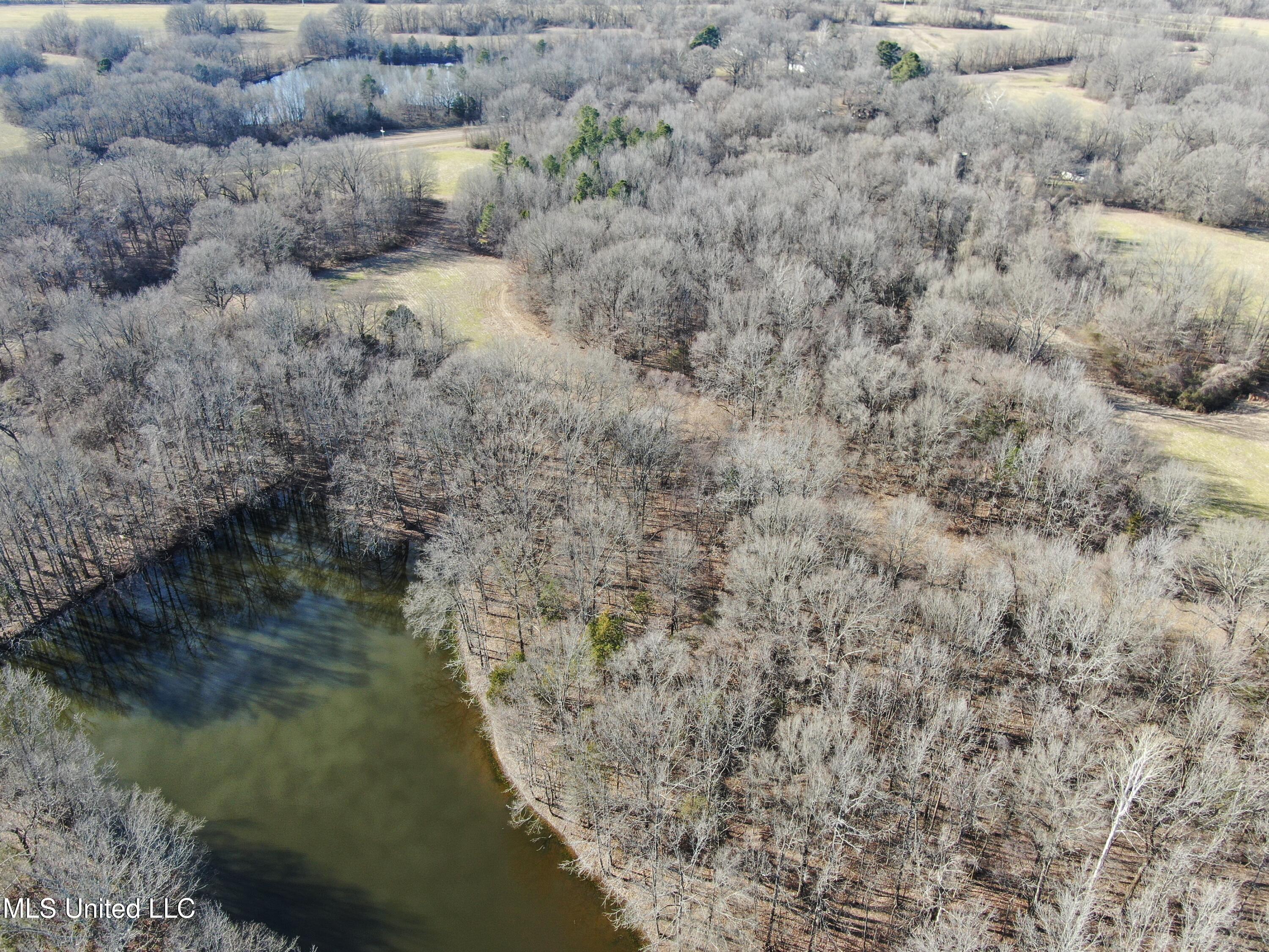 3800 Highway 301 Road Property Photo 5