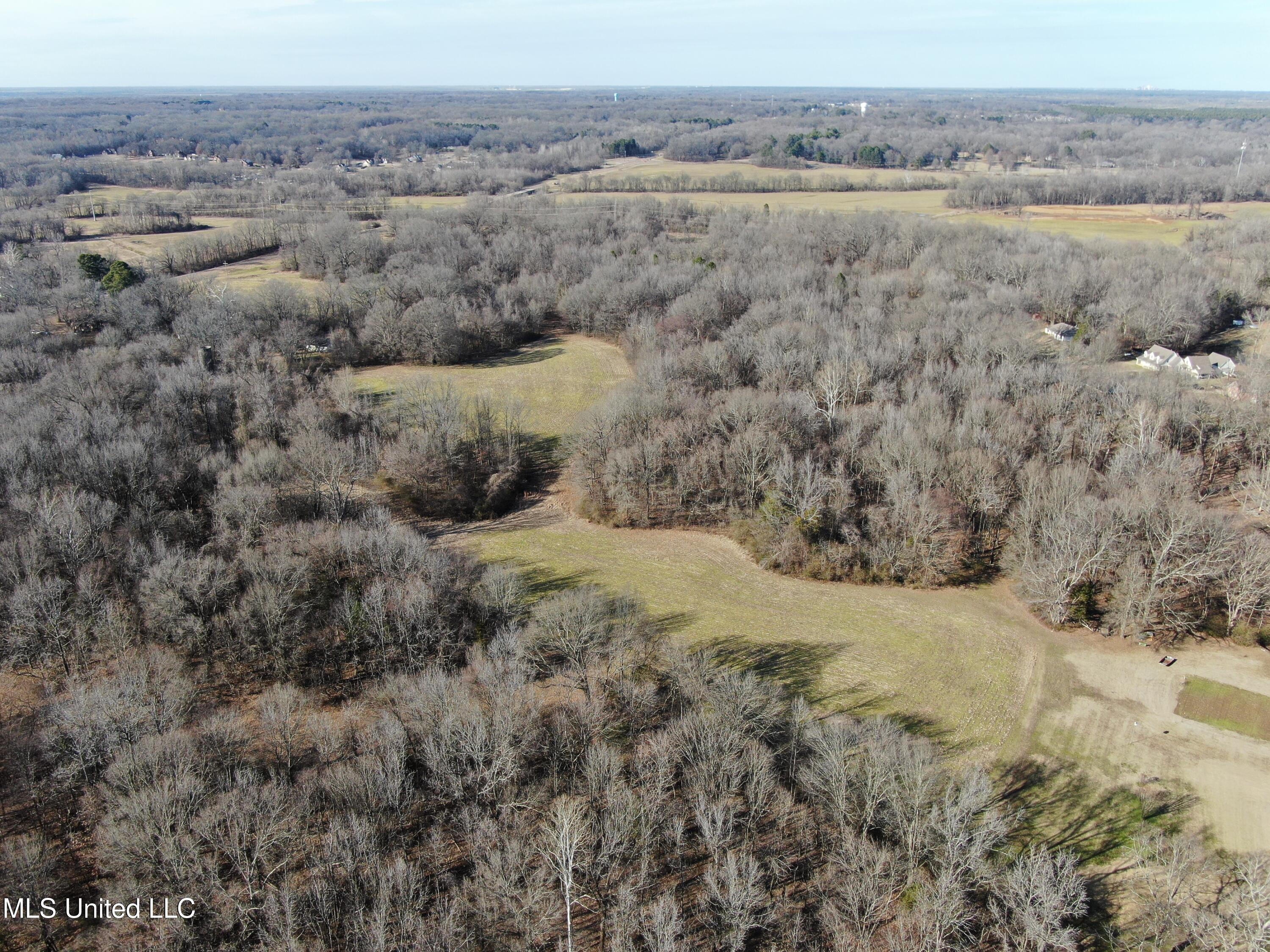 3800 Highway 301 Road Property Photo 6
