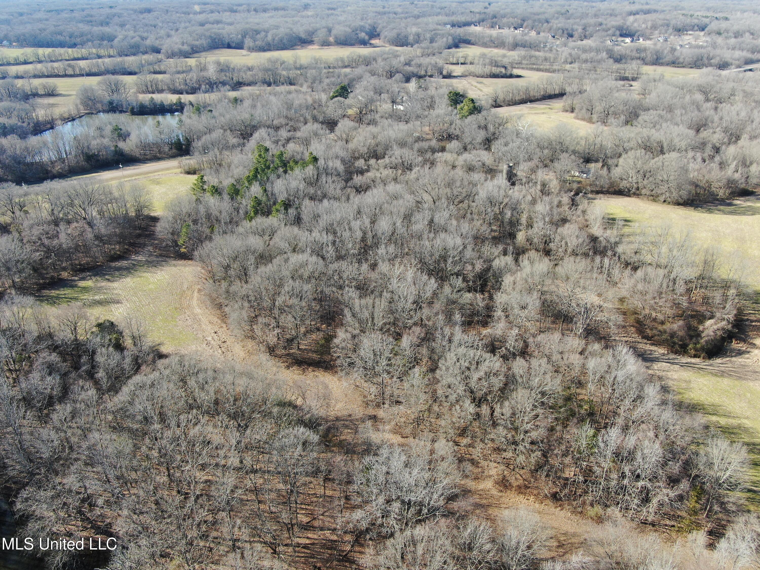 3800 Highway 301 Road Property Photo 7