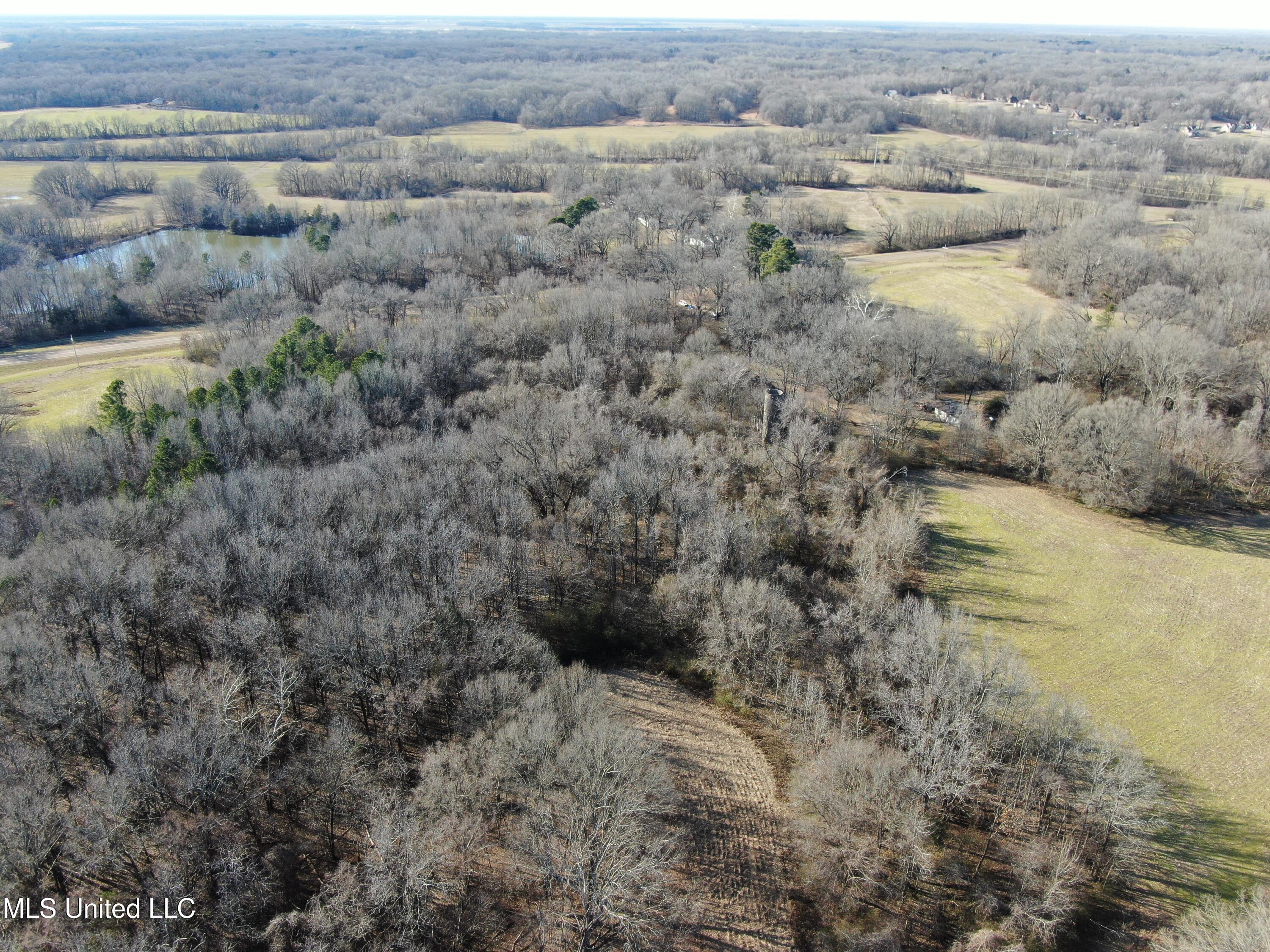 3800 Highway 301 Road Property Photo 8