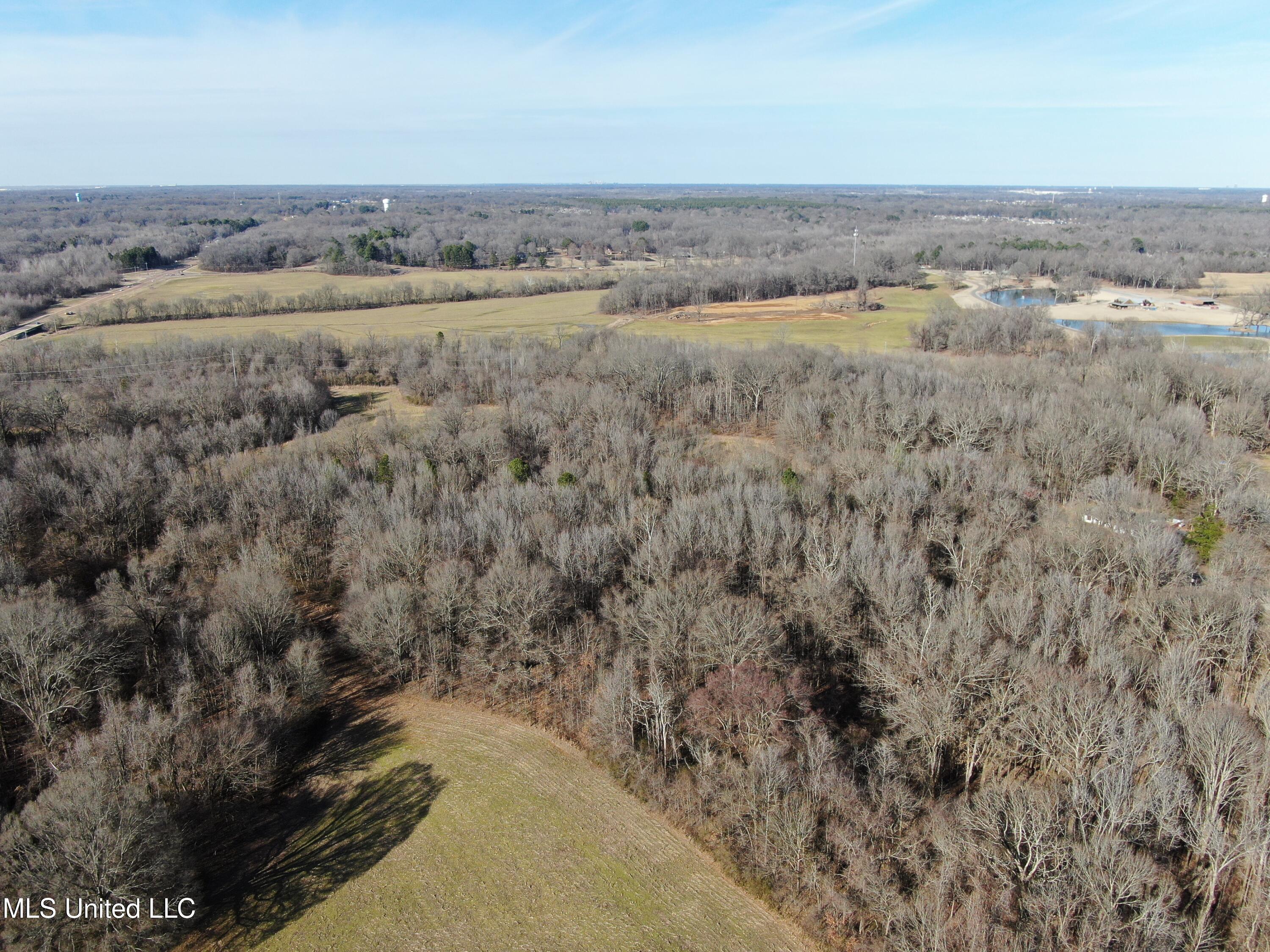 3800 Highway 301 Road Property Photo 9