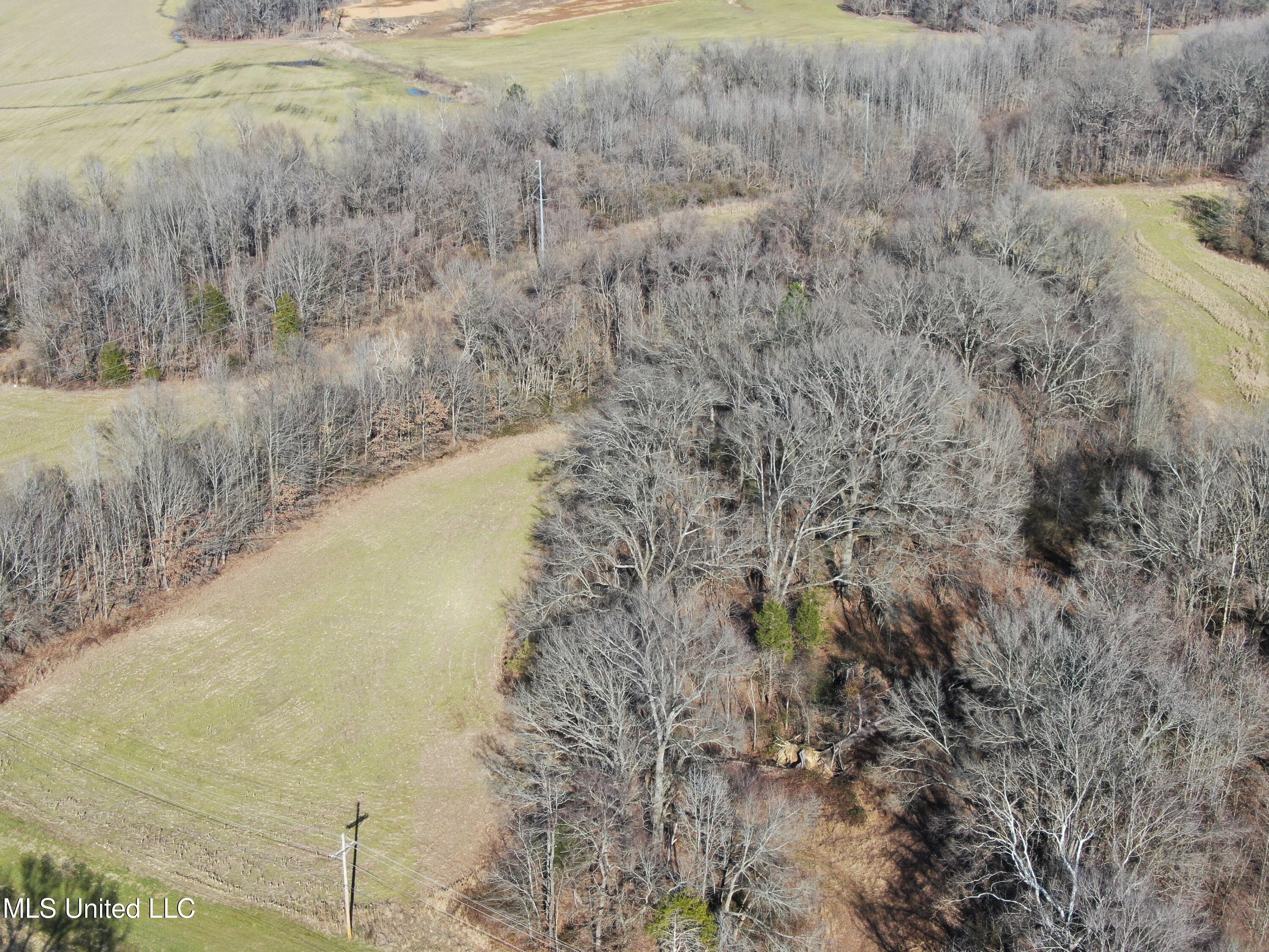 3800 Highway 301 Road Property Photo 19