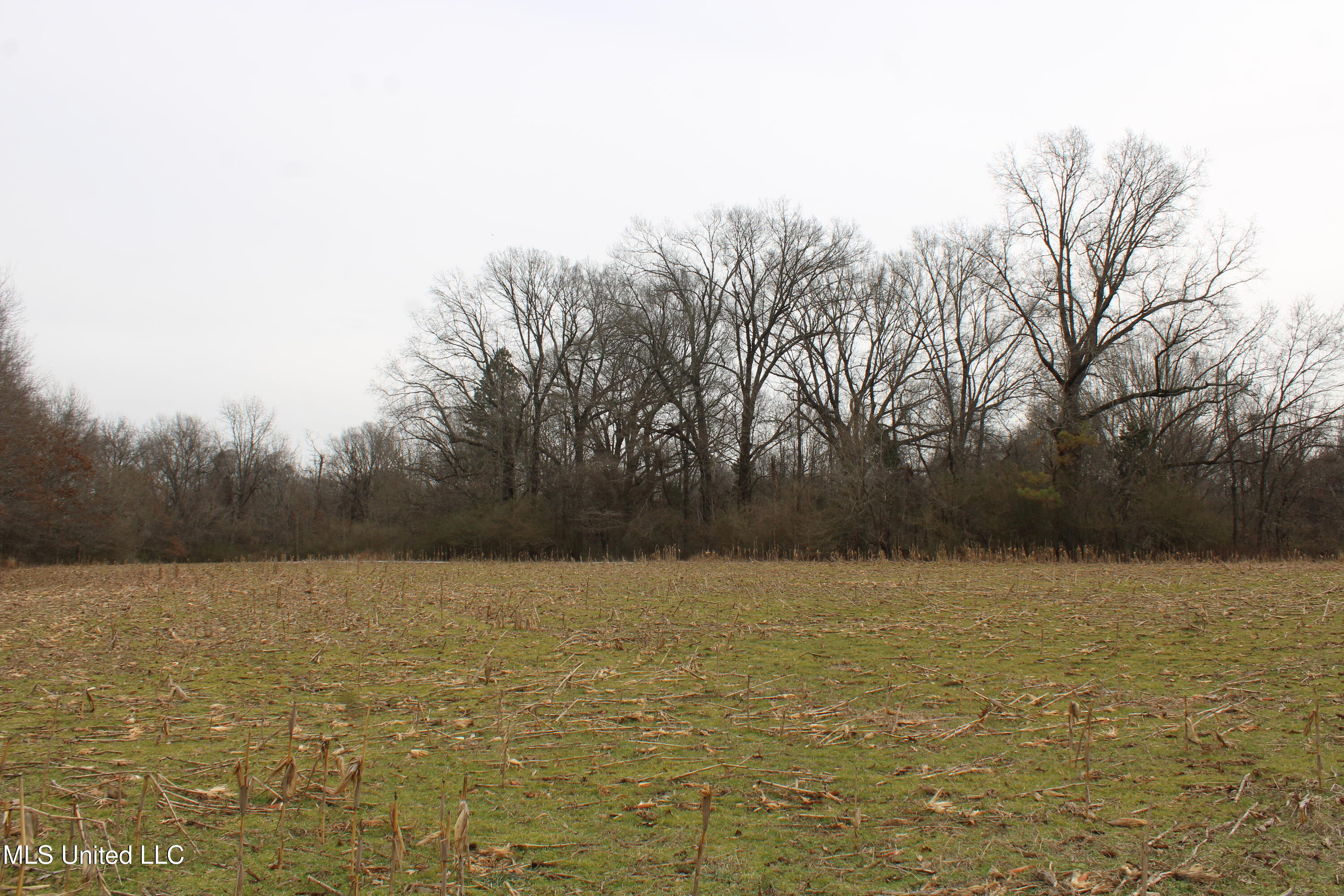 3800 Highway 301 Road Property Photo 23