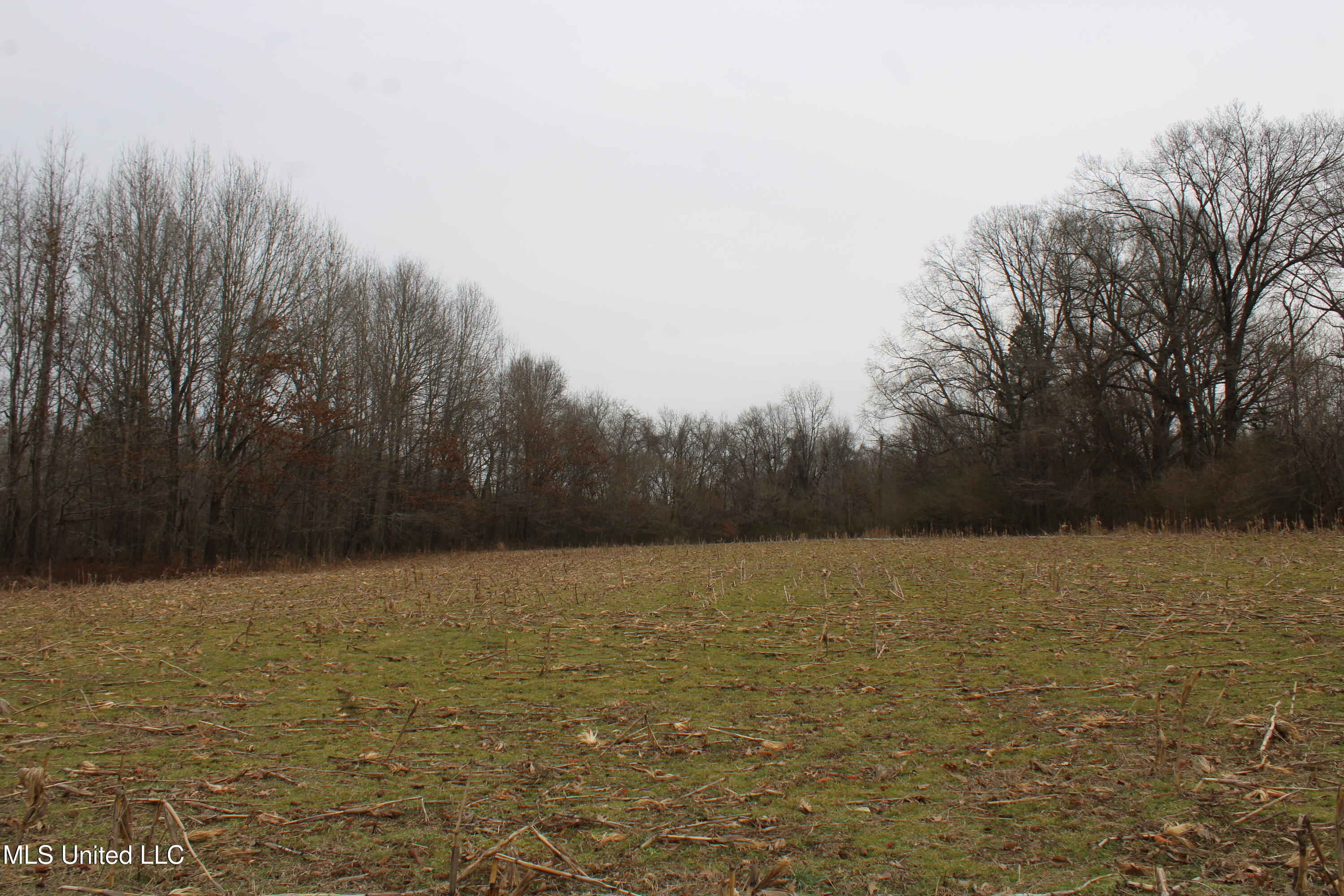 3800 Highway 301 Road Property Photo 24