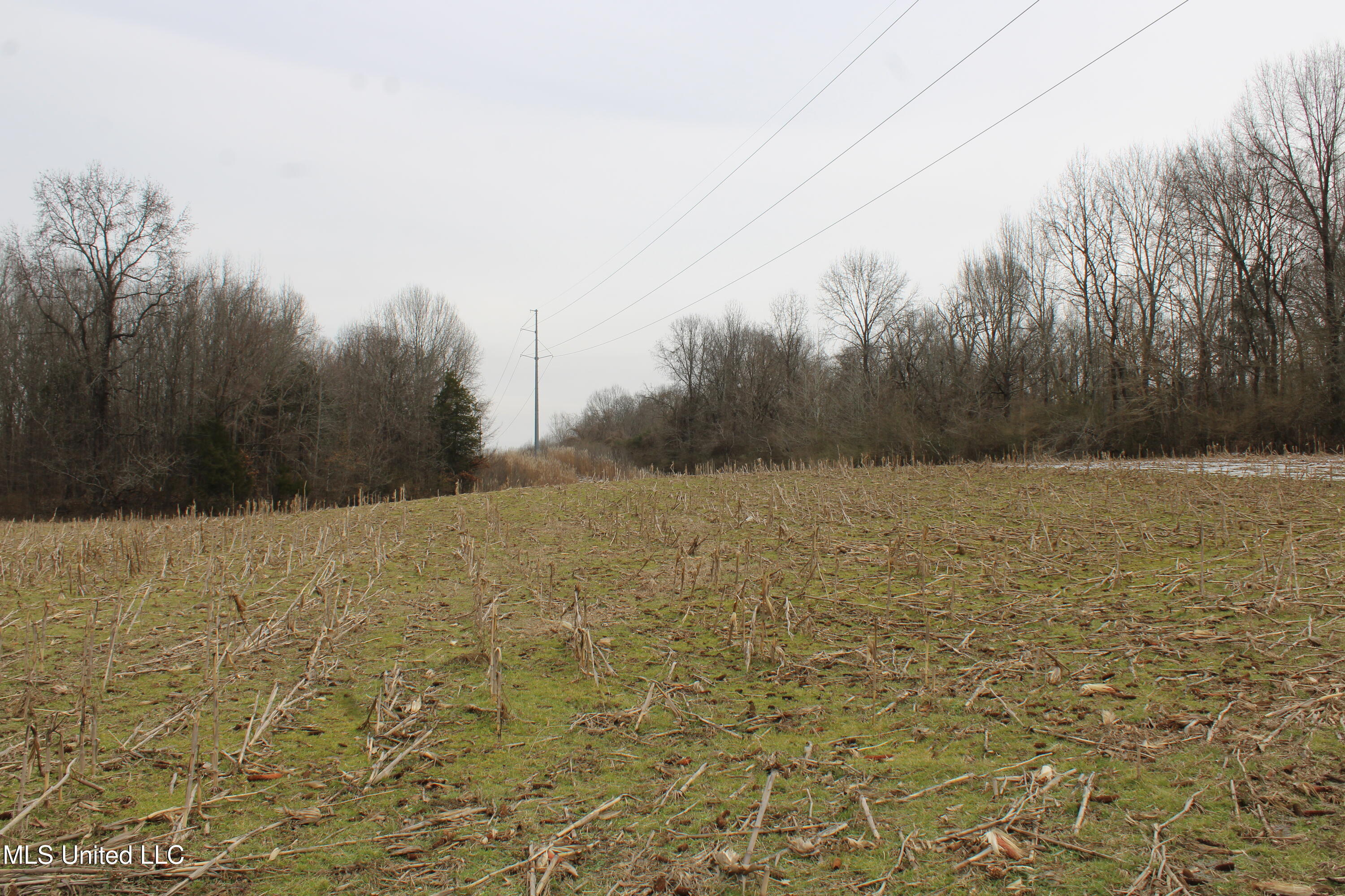 3800 Highway 301 Road Property Photo 25