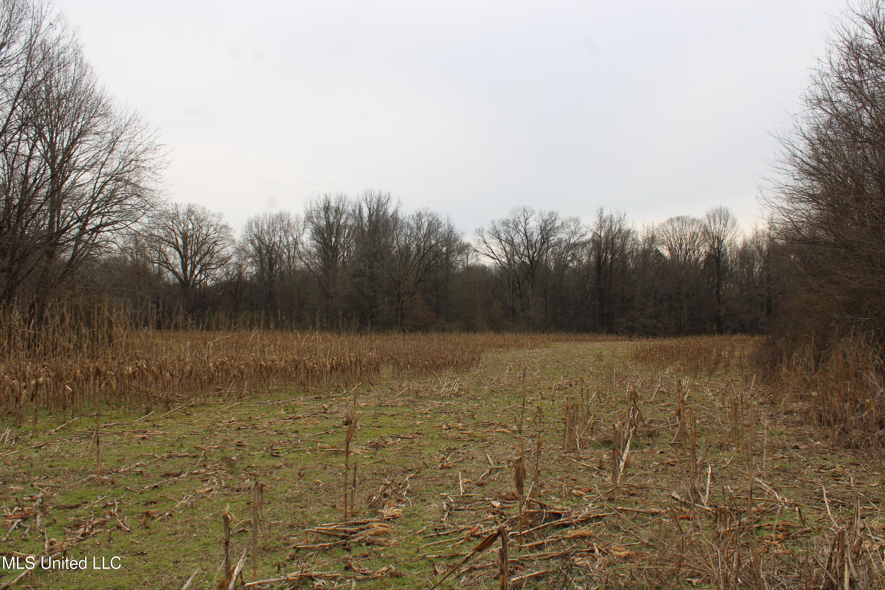 3800 Highway 301 Road Property Photo 26
