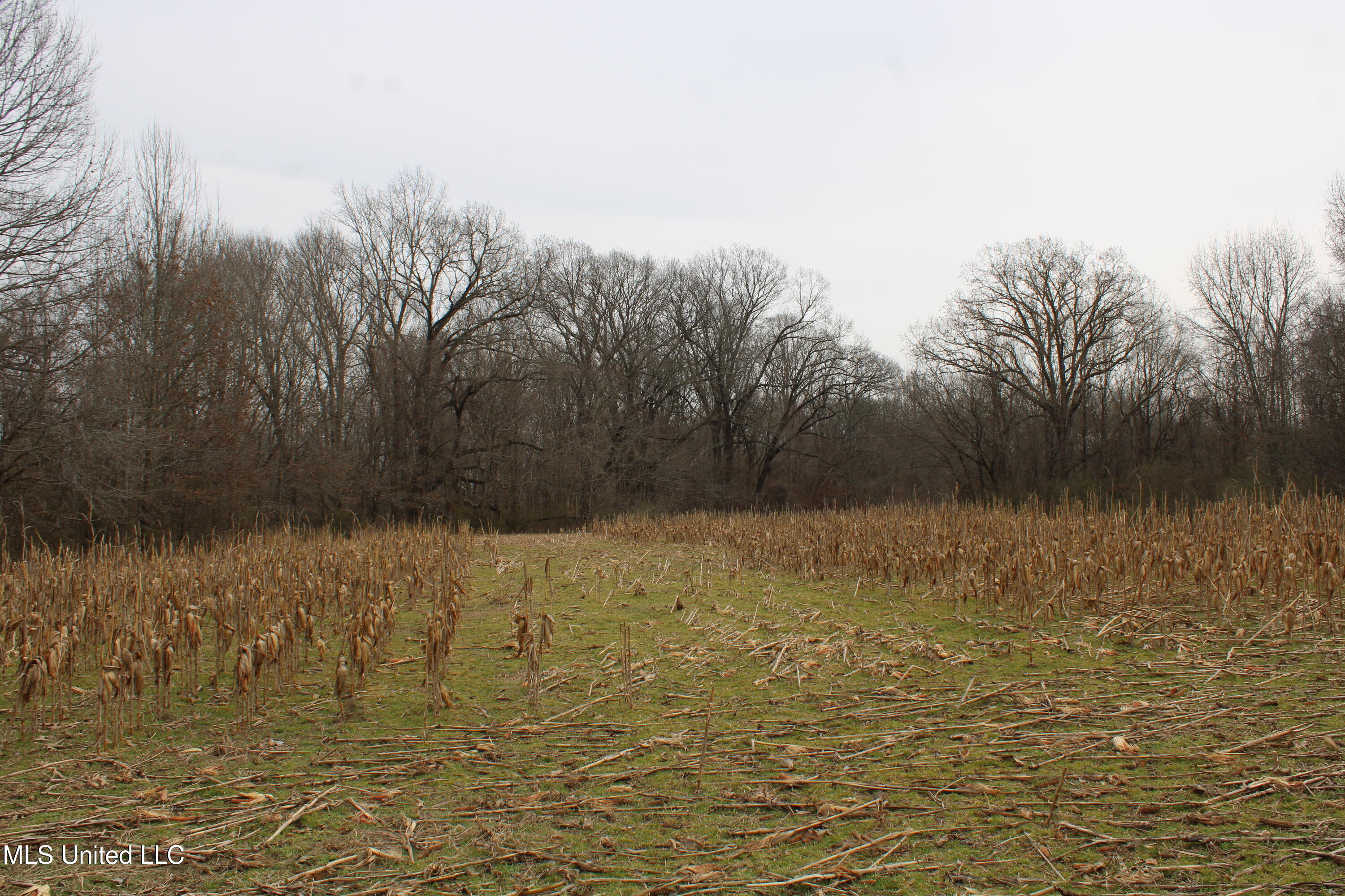 3800 Highway 301 Road Property Photo 27