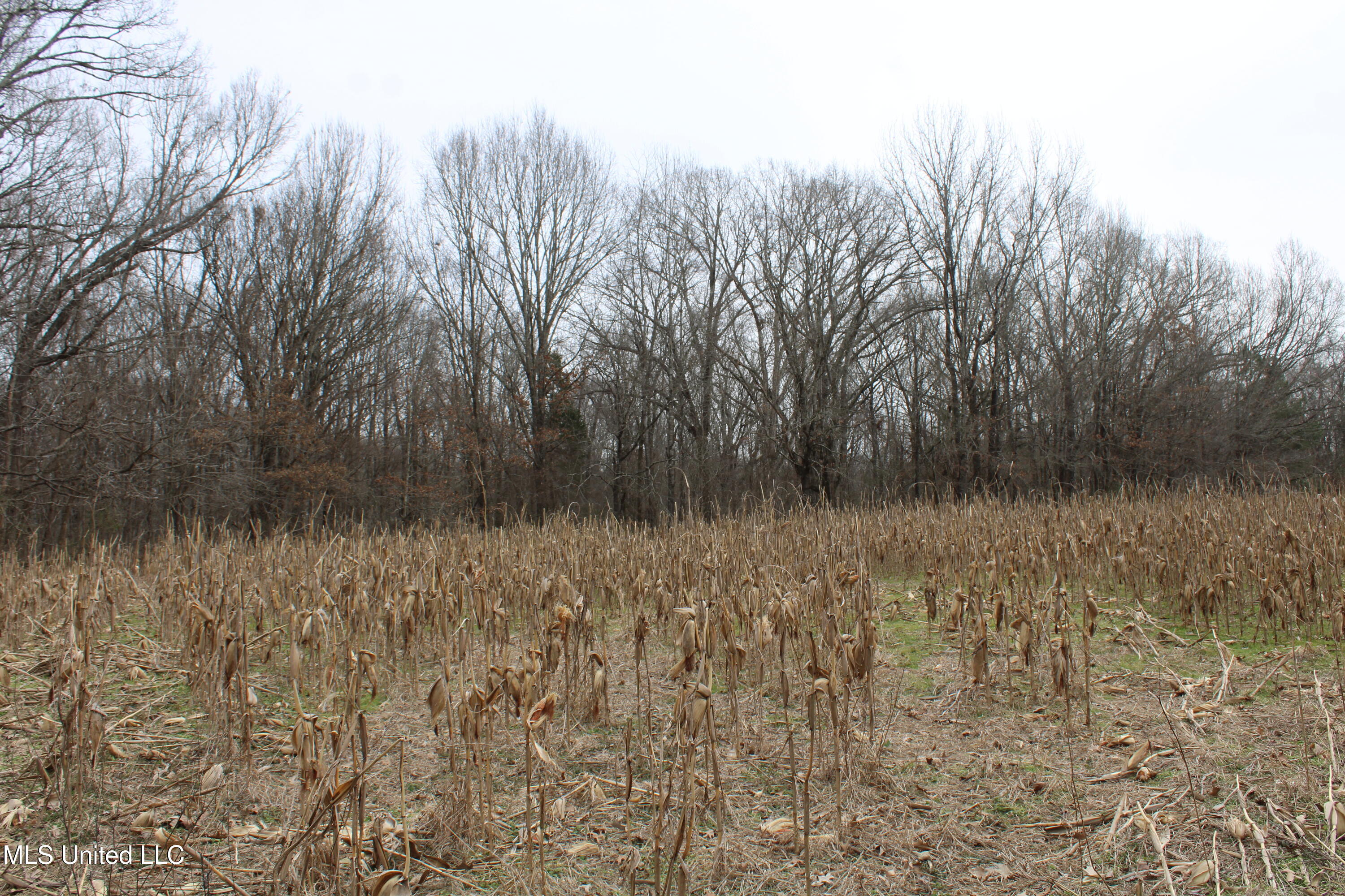 3800 Highway 301 Road Property Photo 28