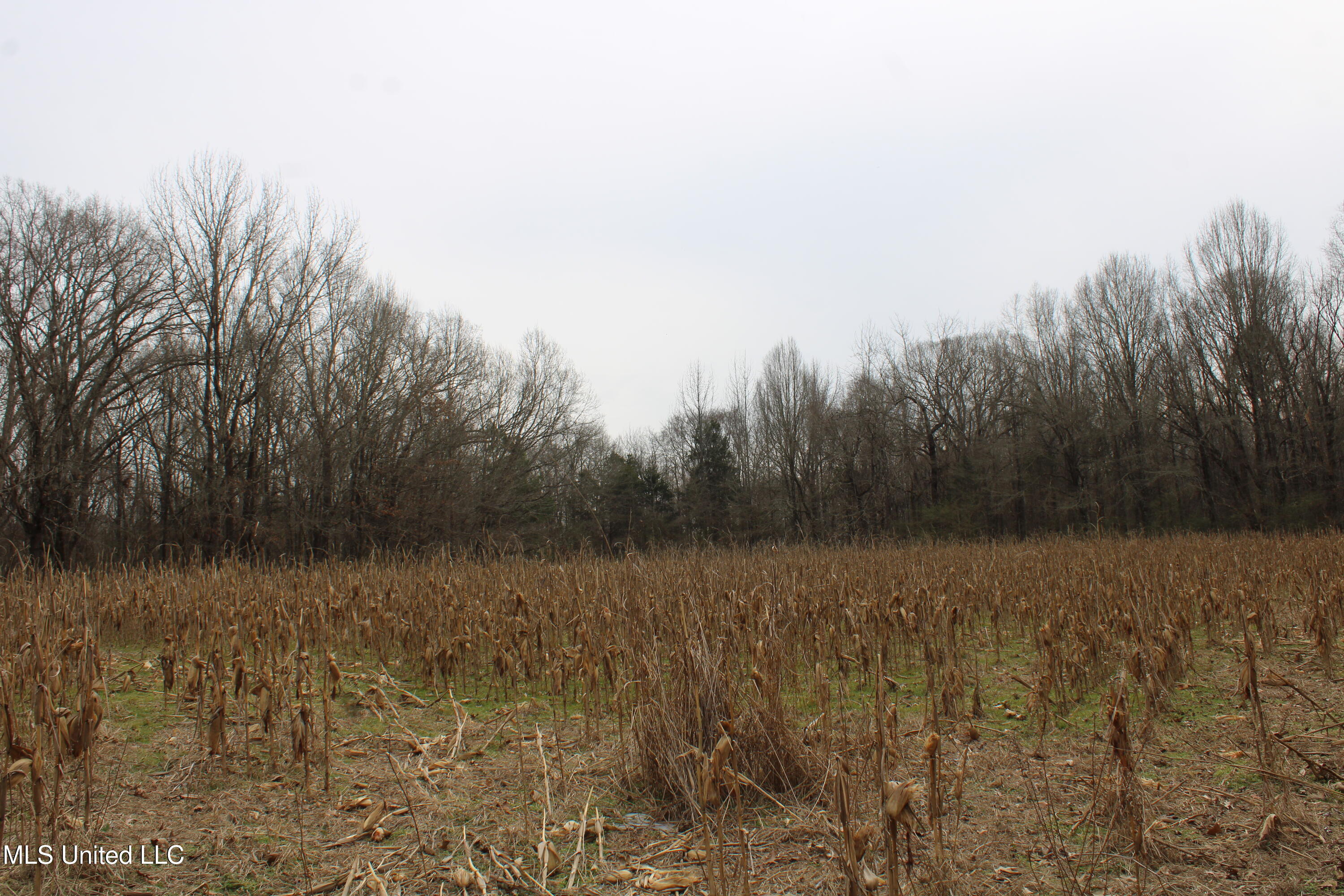 3800 Highway 301 Road Property Photo 29
