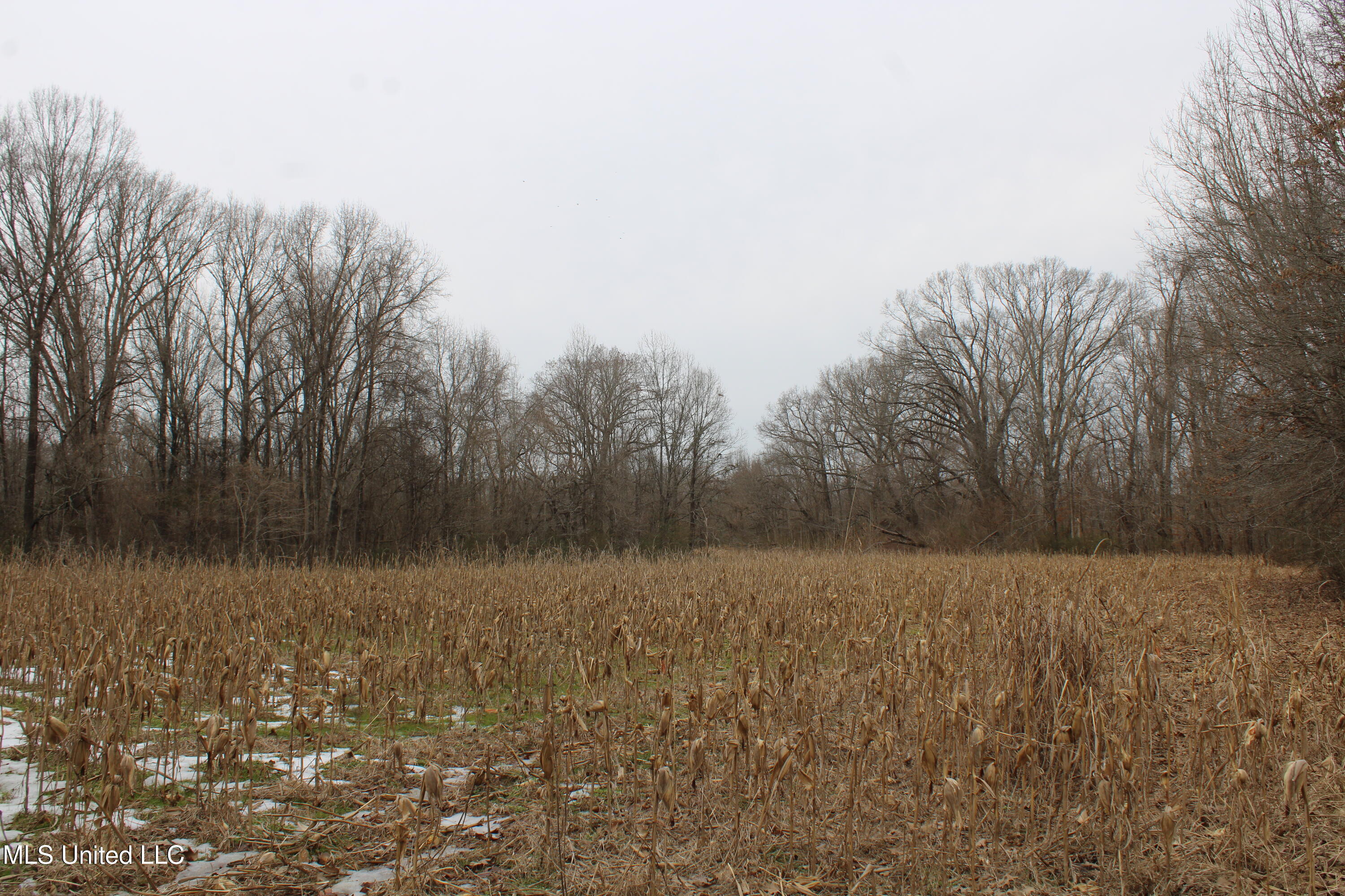 3800 Highway 301 Road Property Photo 30