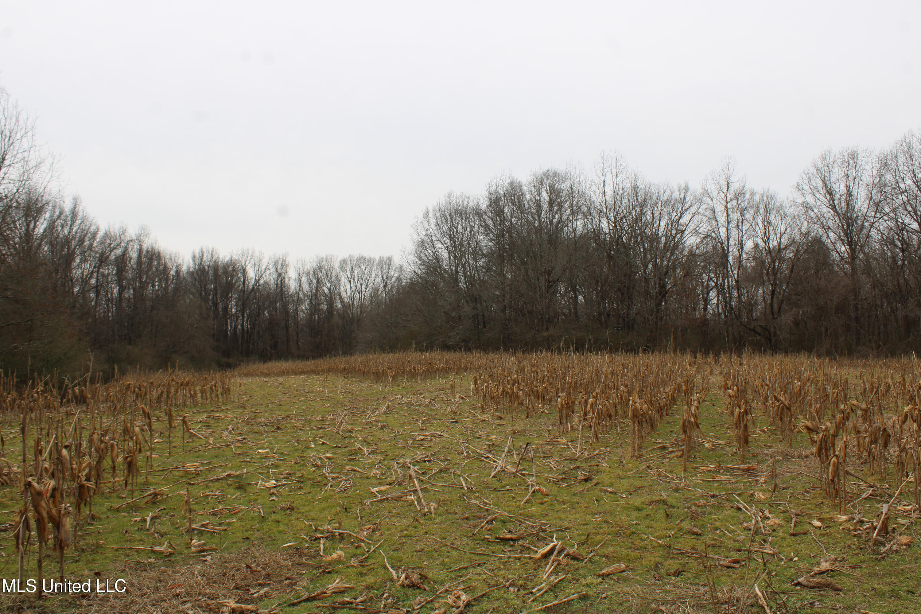3800 Highway 301 Road Property Photo 31