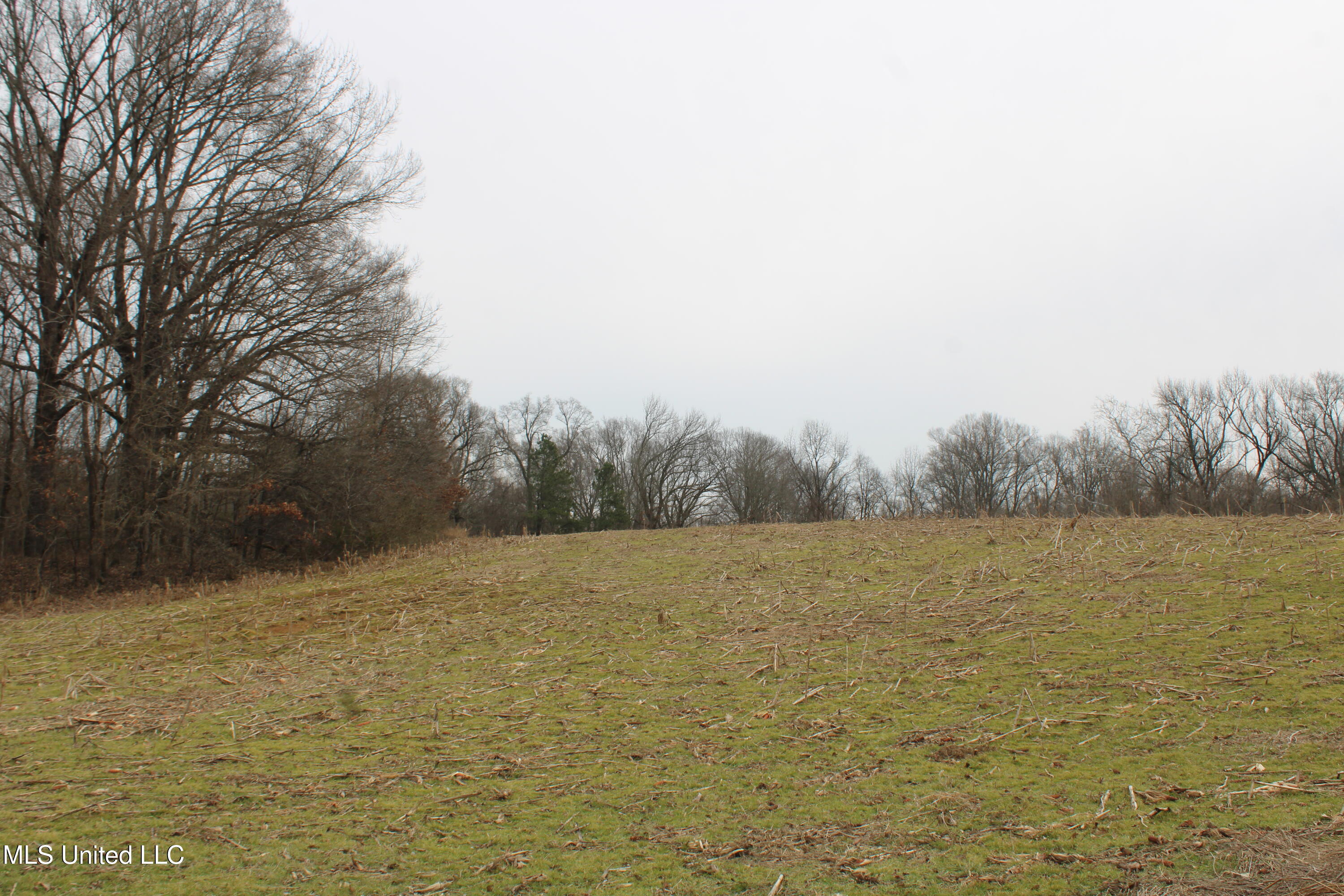 3800 Highway 301 Road Property Photo 32