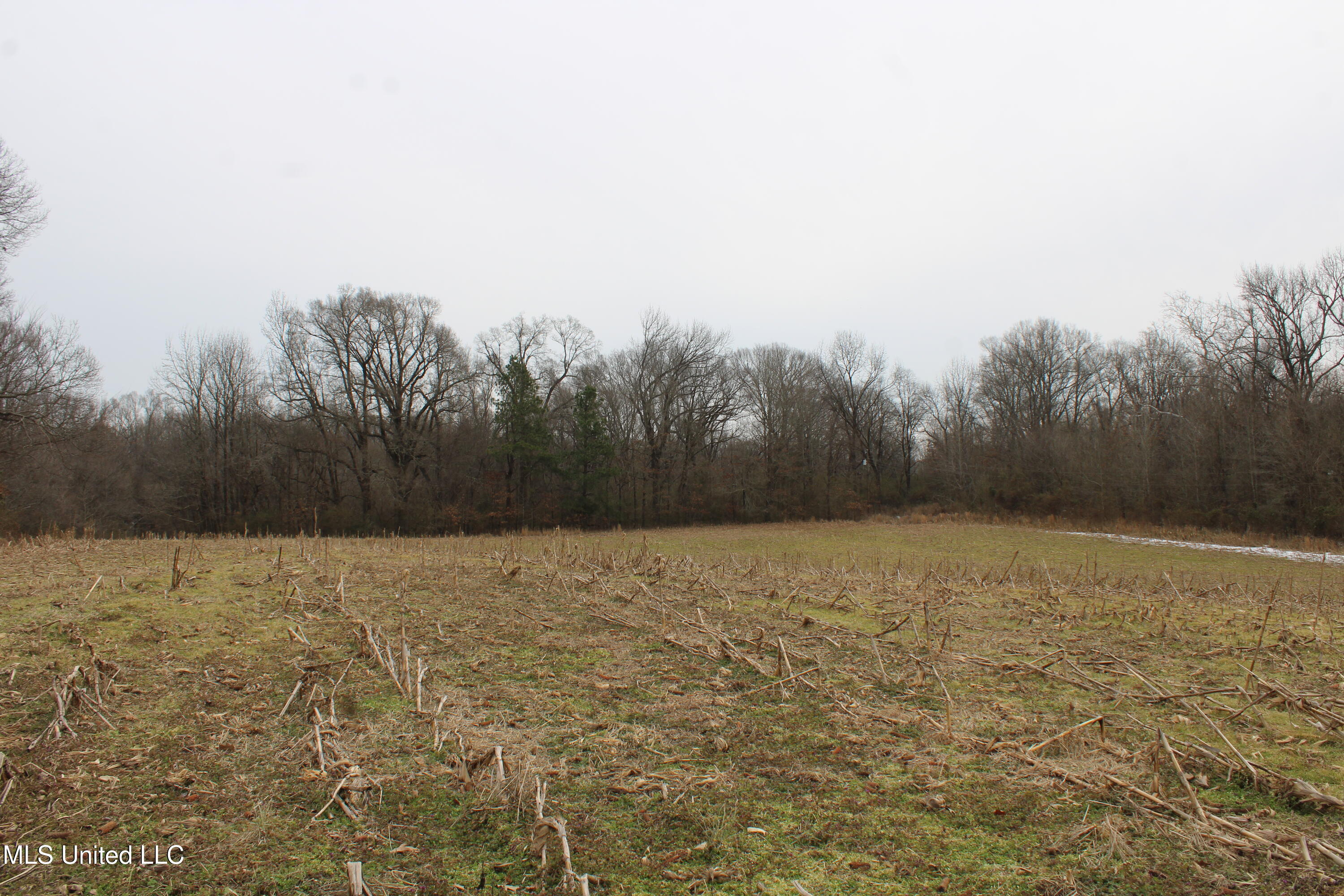 3800 Highway 301 Road Property Photo 33