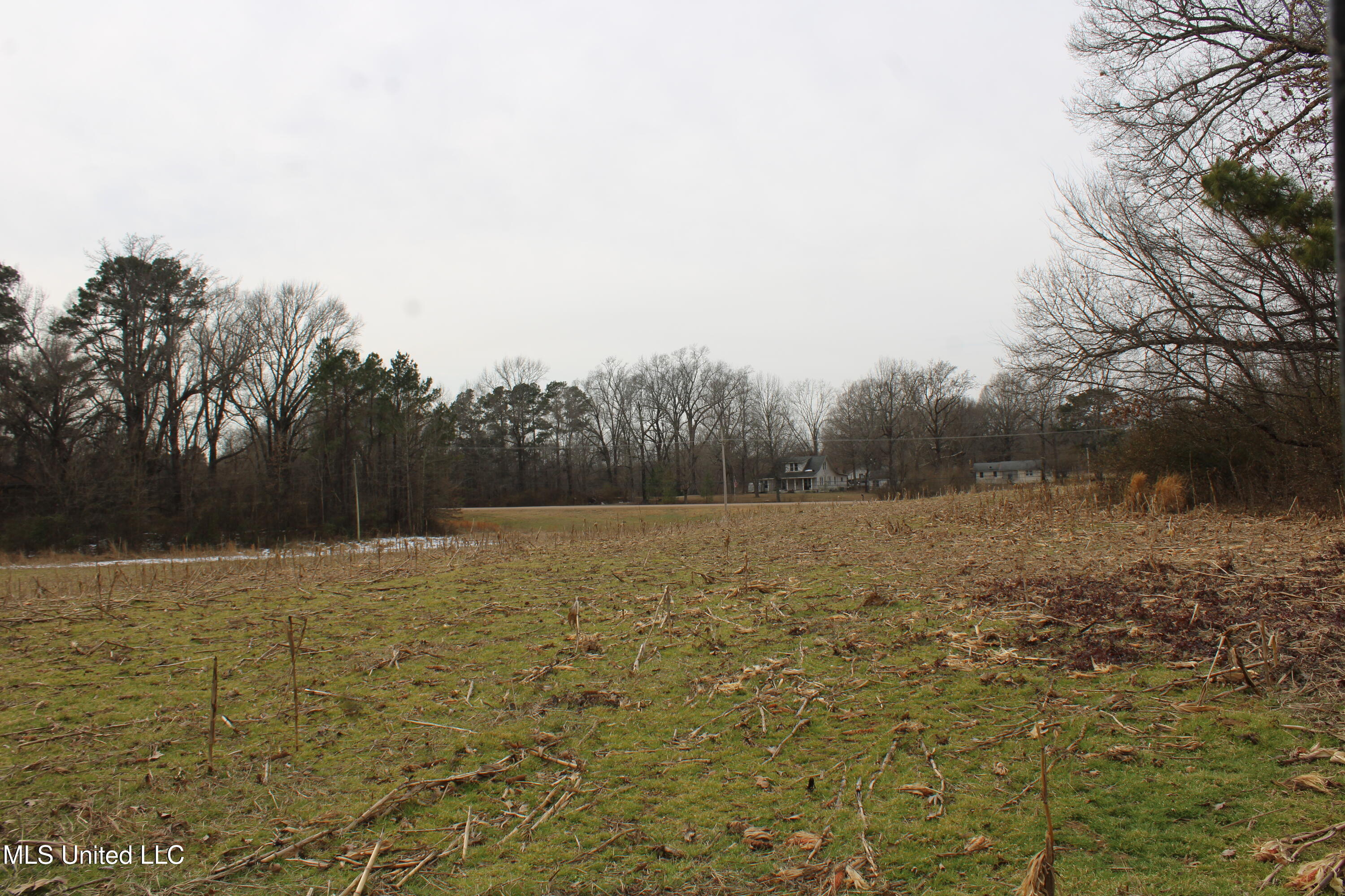 3800 Highway 301 Road Property Photo 34