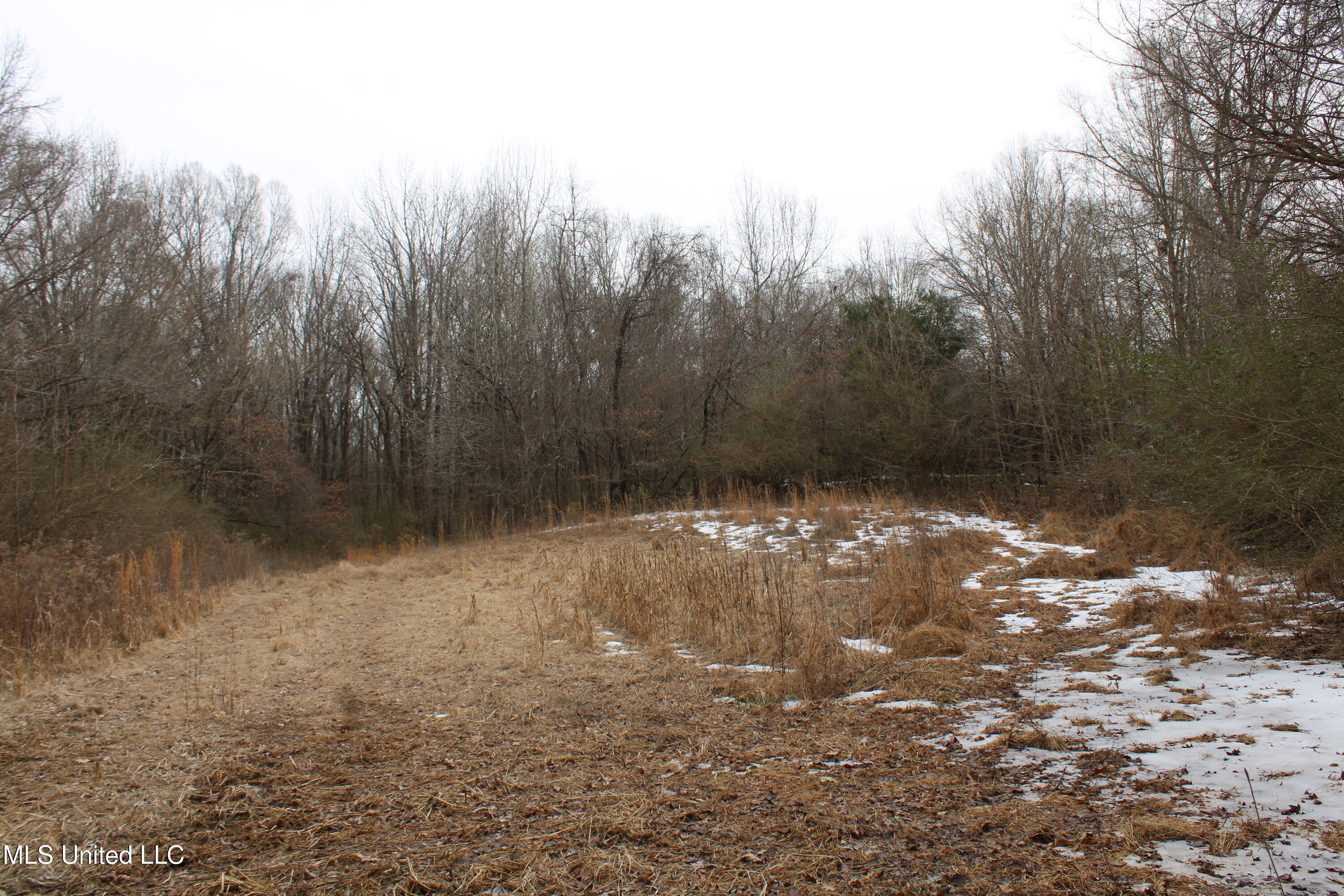 3800 Highway 301 Road Property Photo 35