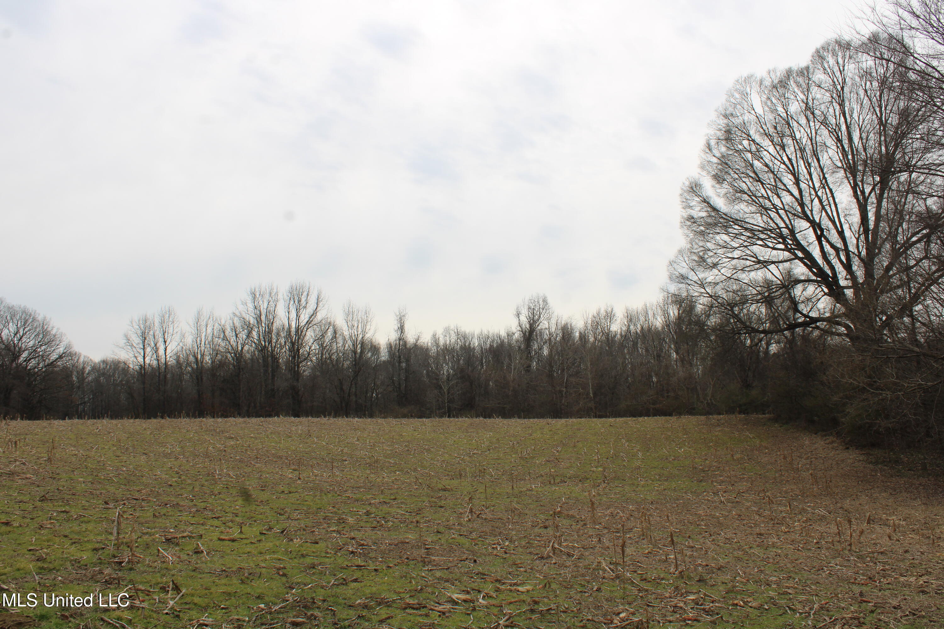 3800 Highway 301 Road Property Photo 36