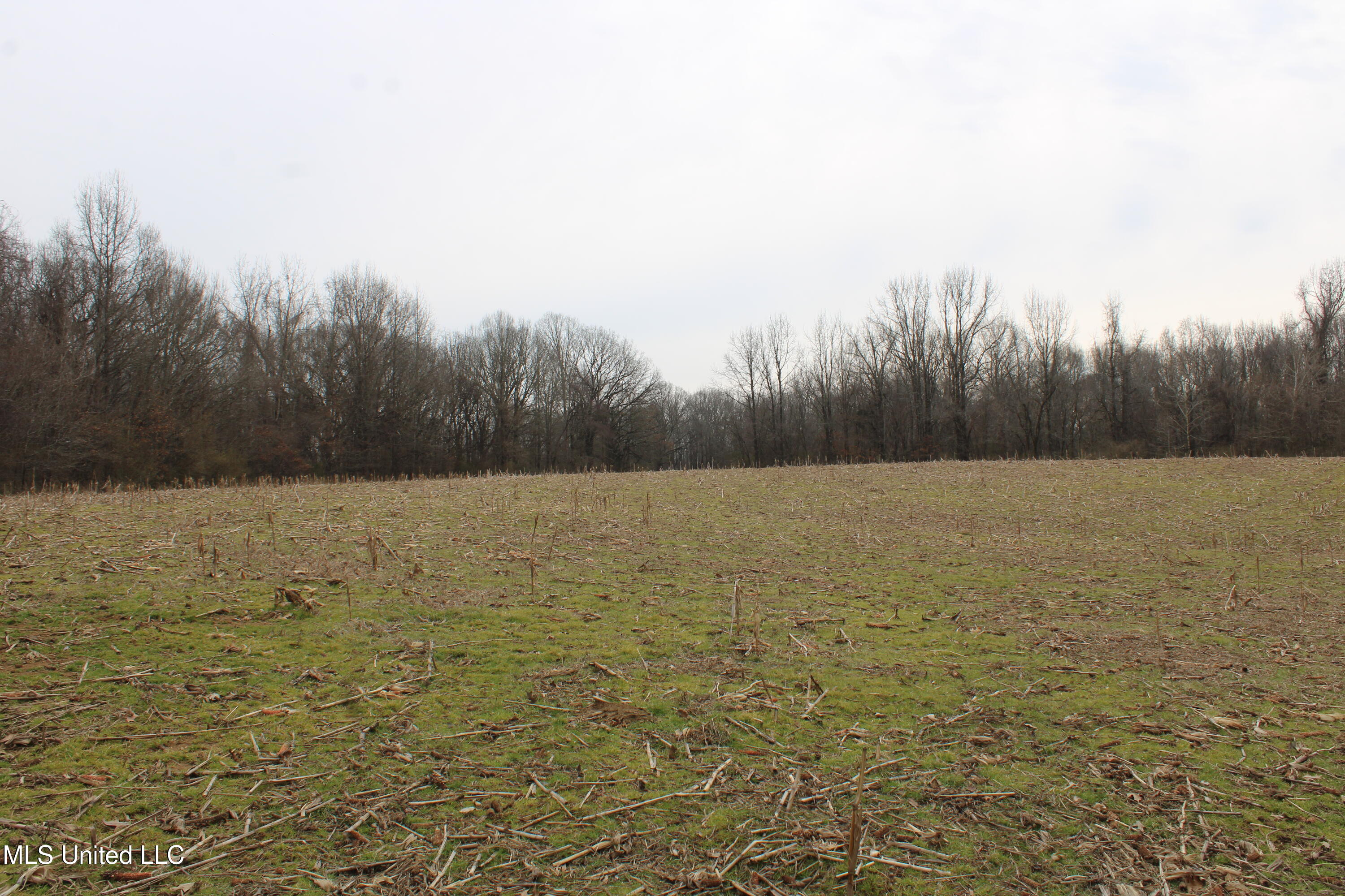 3800 Highway 301 Road Property Photo 37