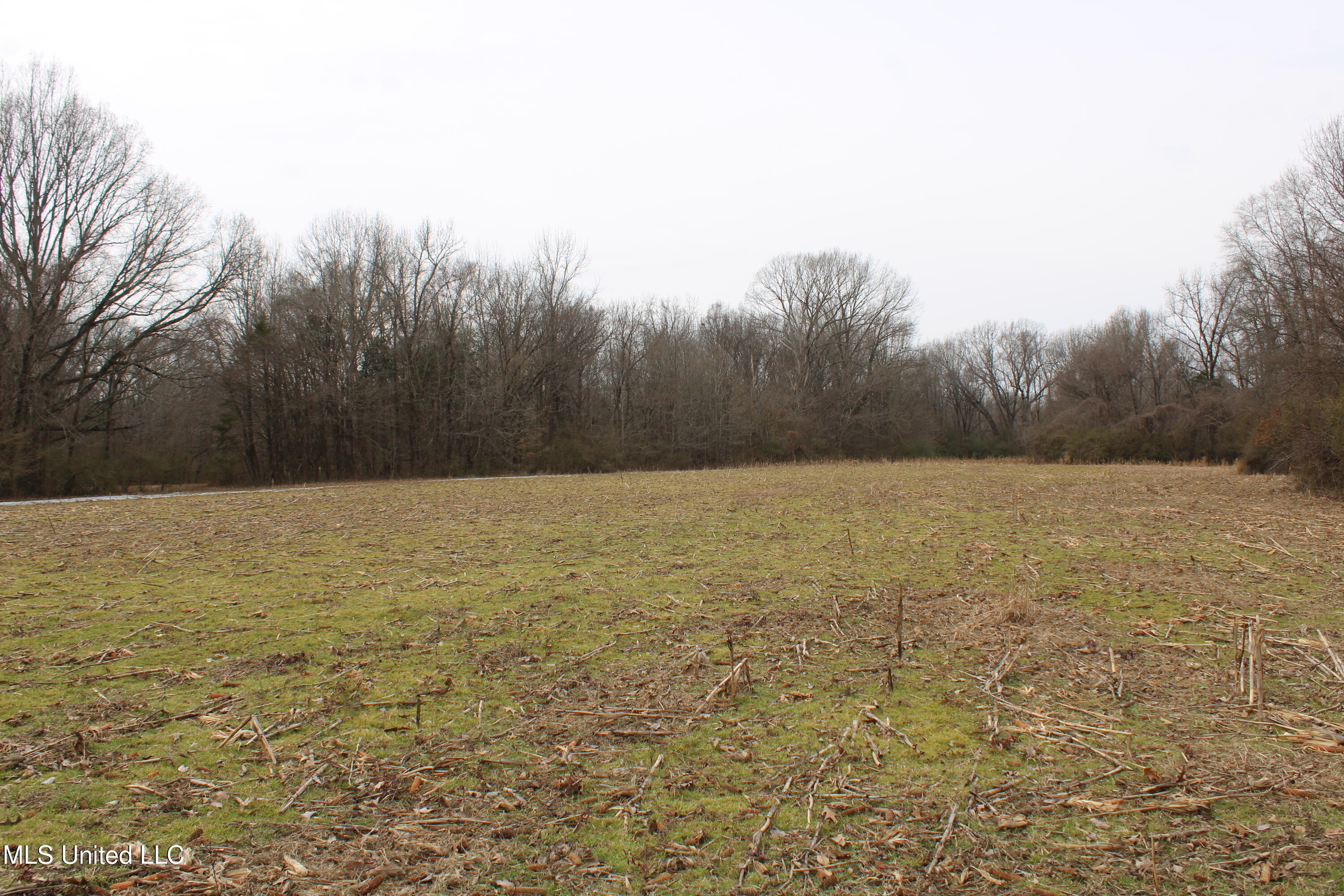 3800 Highway 301 Road Property Photo 38