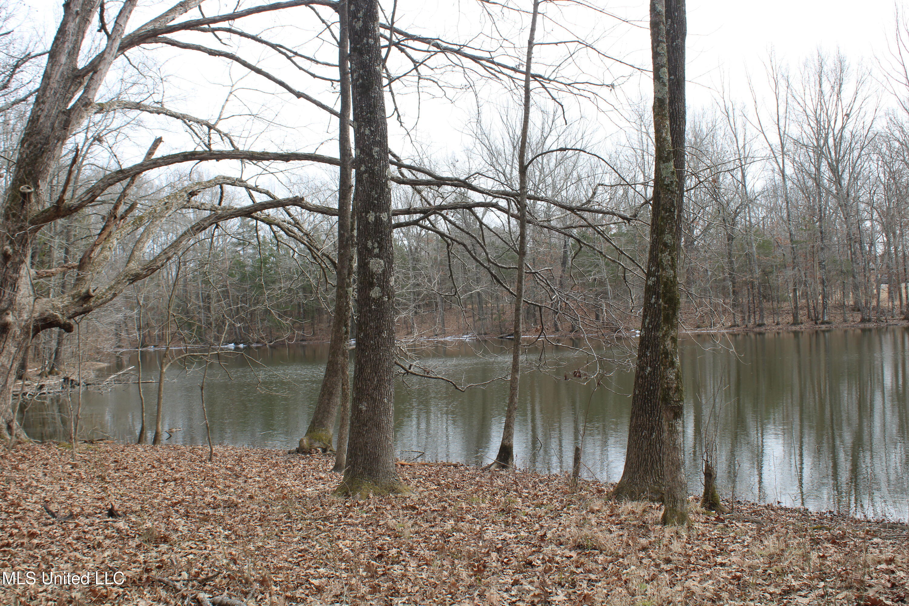 3800 Highway 301 Road Property Photo 39