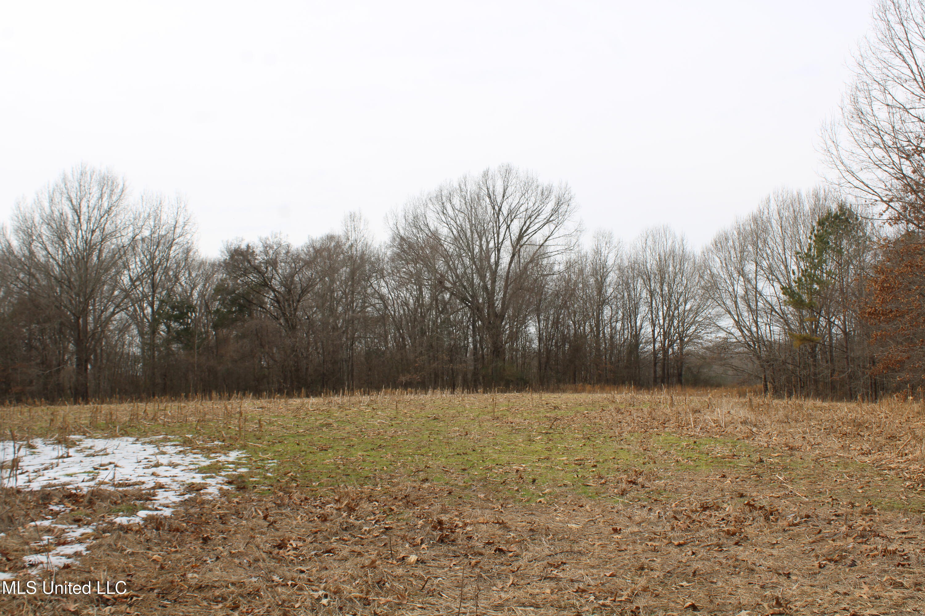 3800 Highway 301 Road Property Photo 40