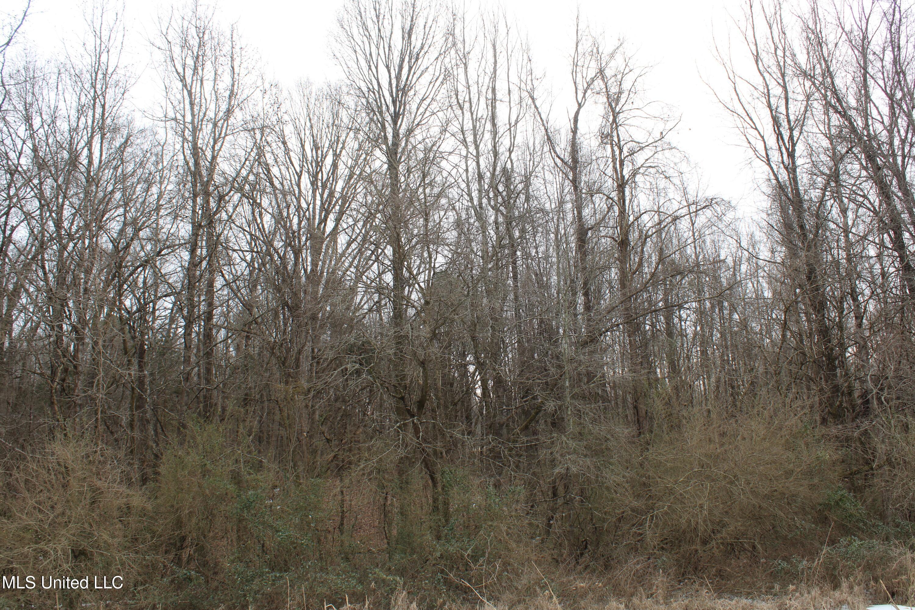 3800 Highway 301 Road Property Photo 43
