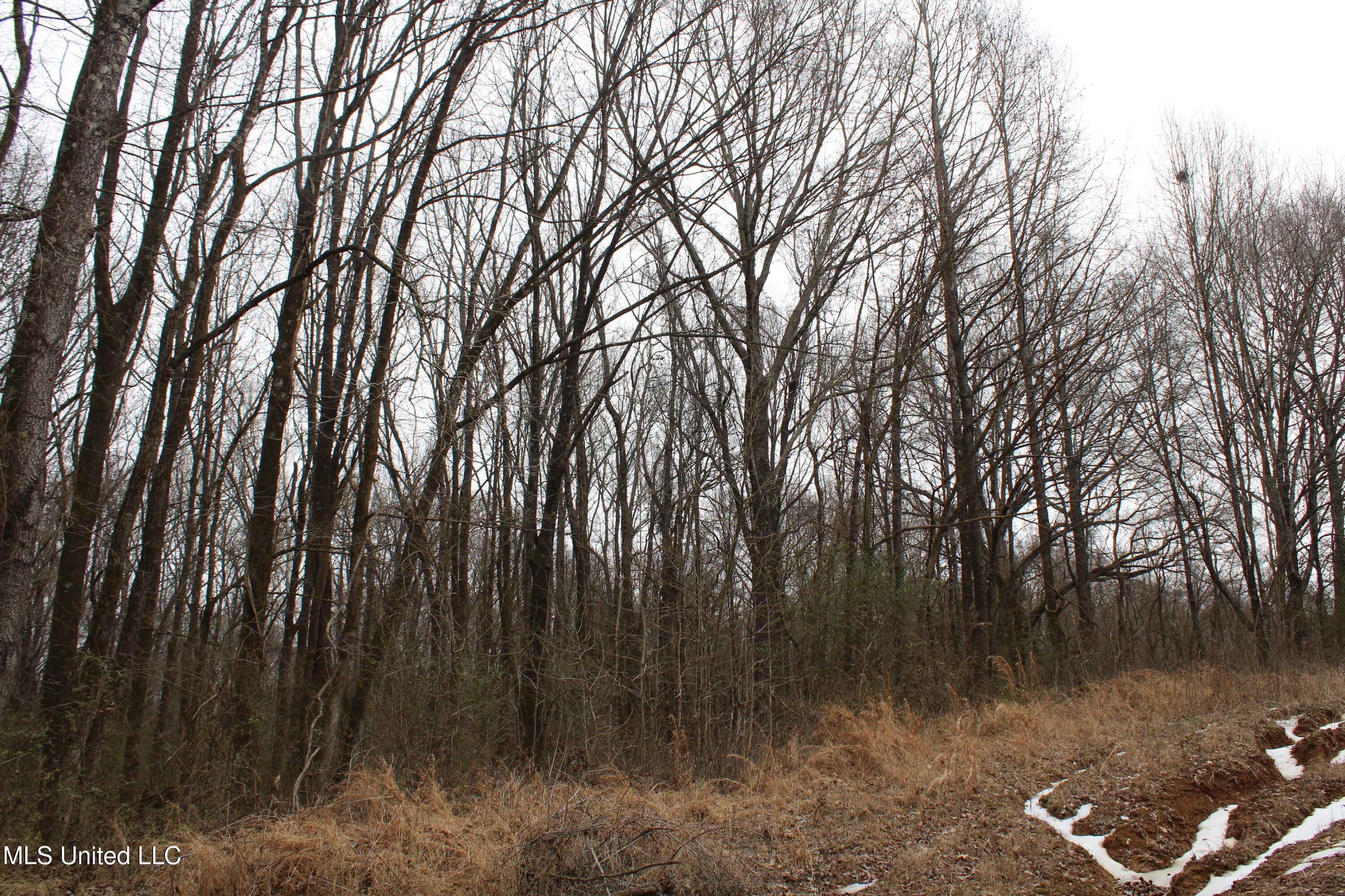 3800 Highway 301 Road Property Photo 44