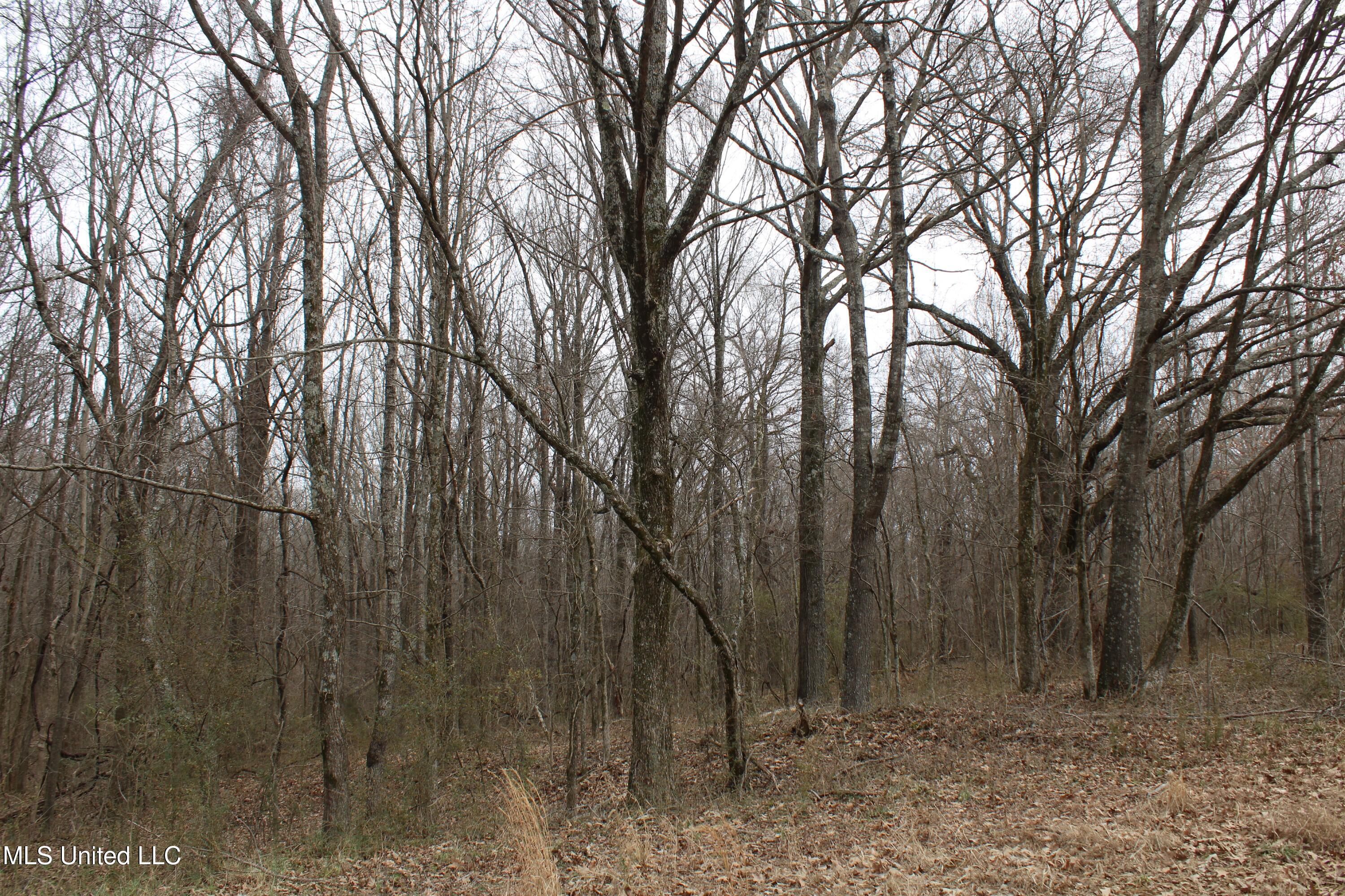 3800 Highway 301 Road Property Photo 45
